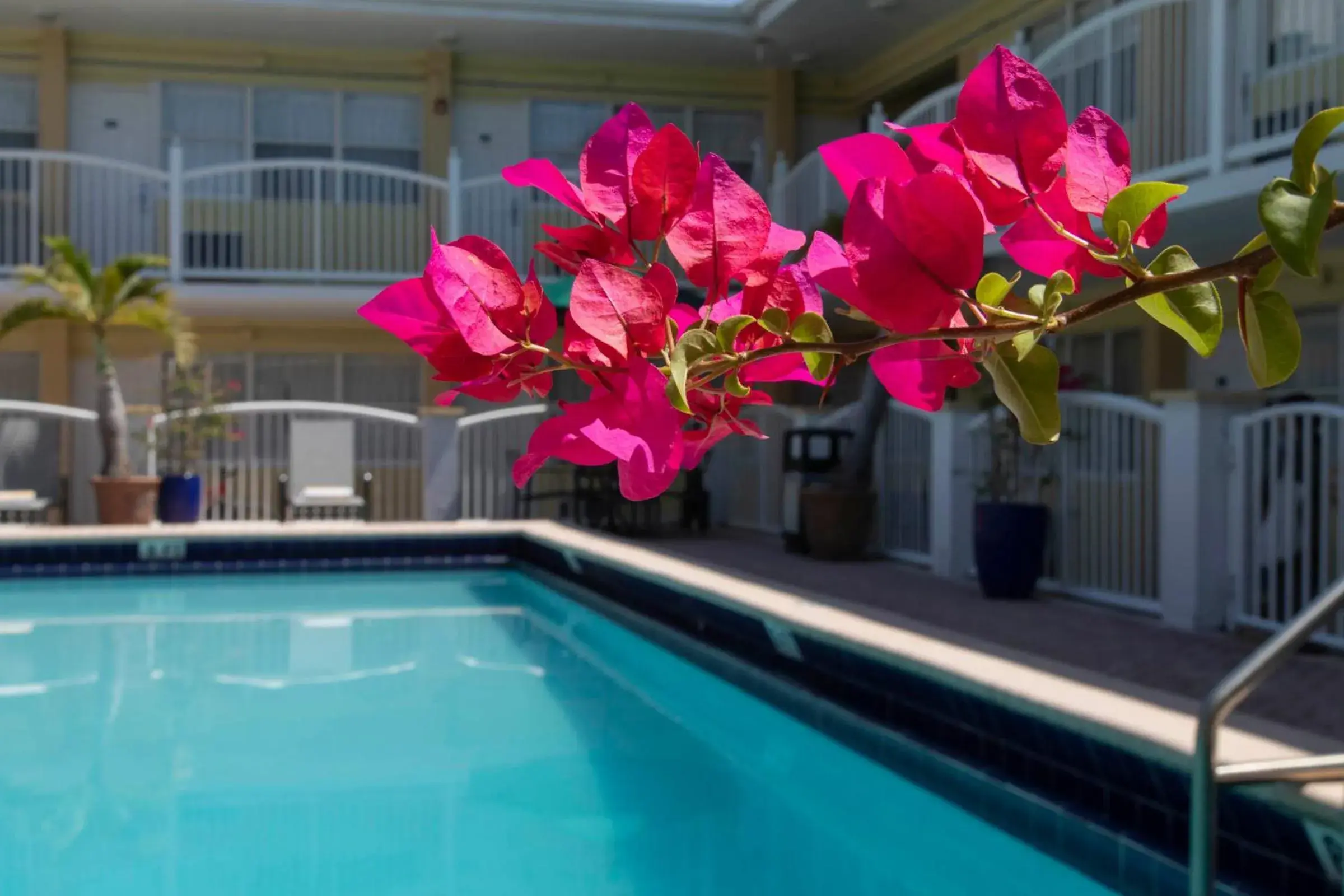 Swimming pool in Beach Place Hotel Swimming pool in Beach Place Hotel