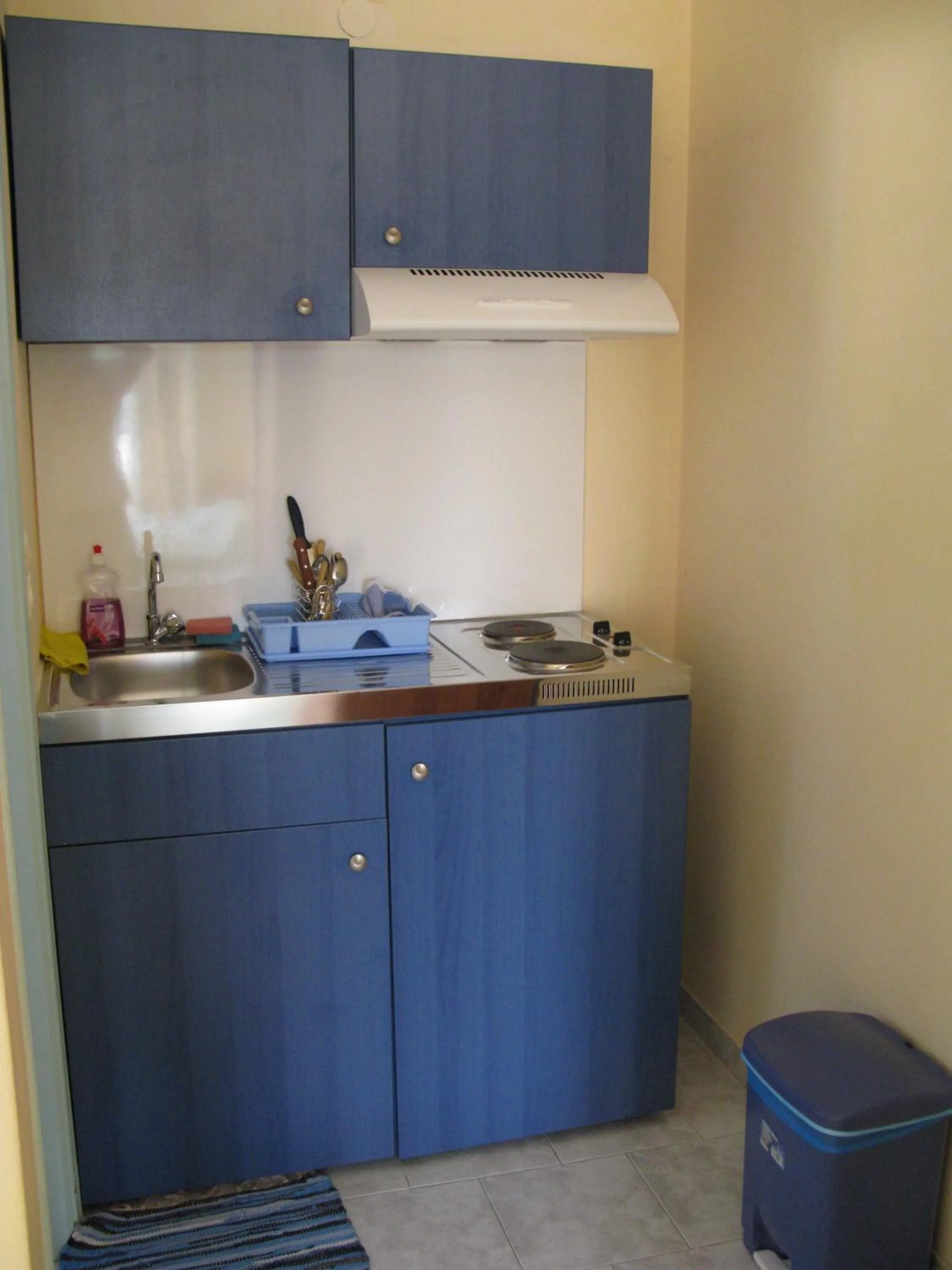 Kitchen or kitchenette in Alexandra's Rooms