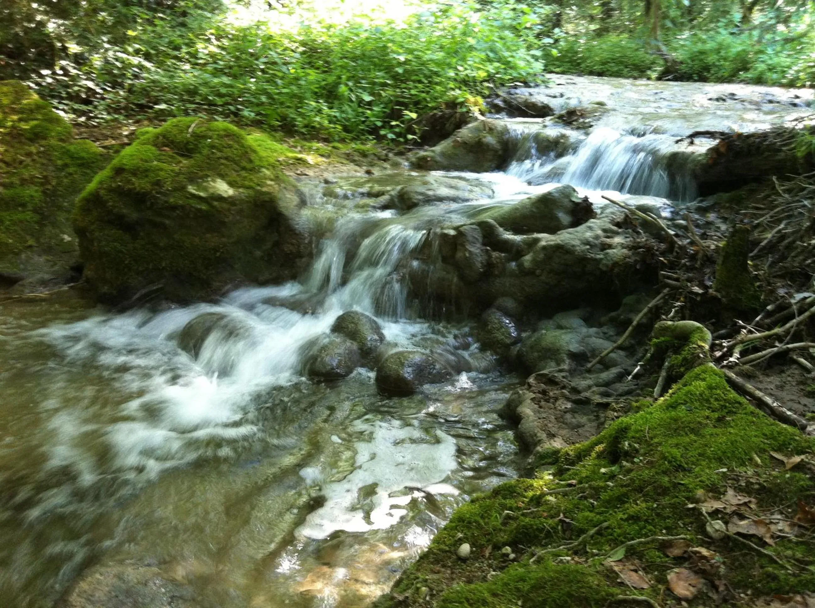 Off site in Domaine du Valromey