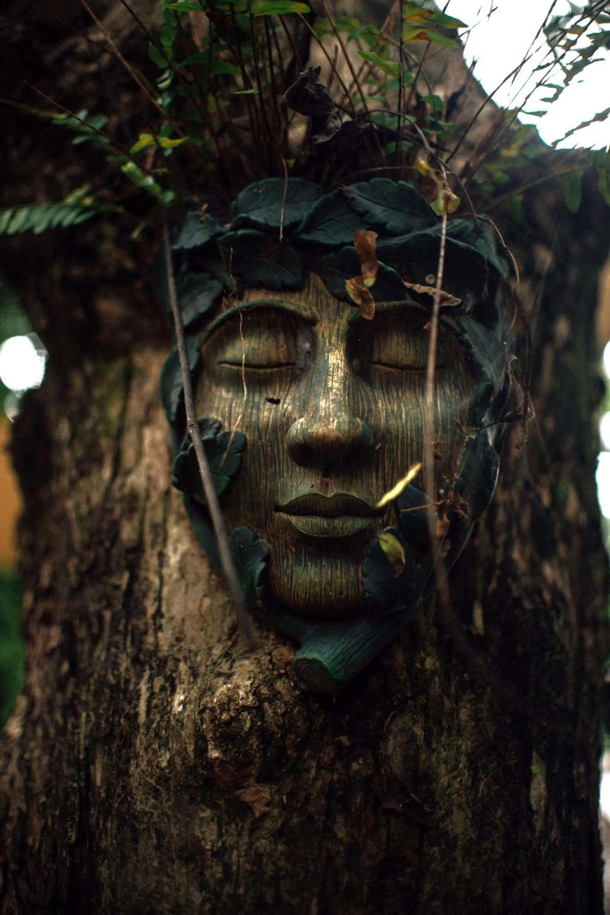 Restaurant/places to eat in Casa 1800 Suchitoto Boutique