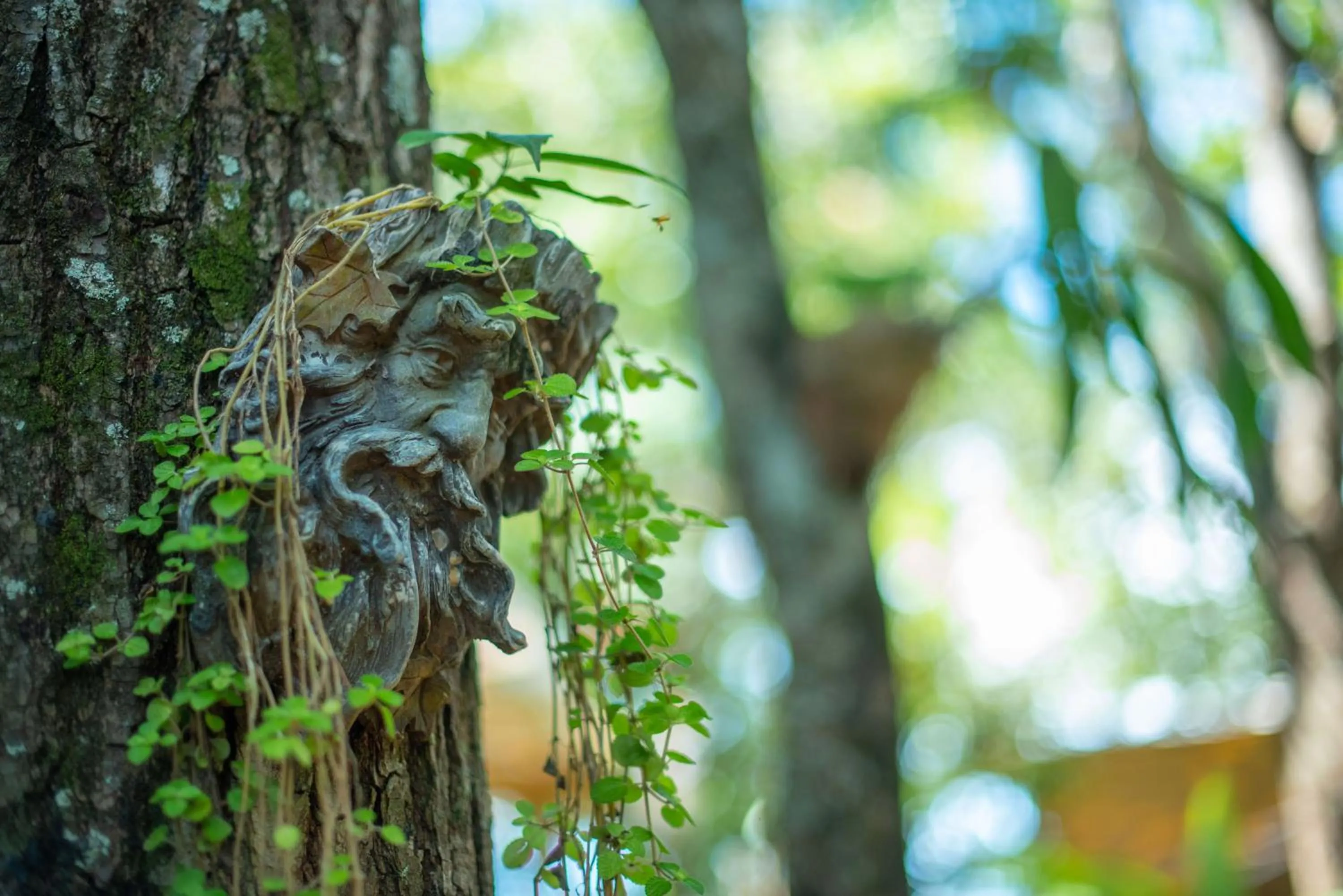 Garden in Casa 1800 Suchitoto Boutique