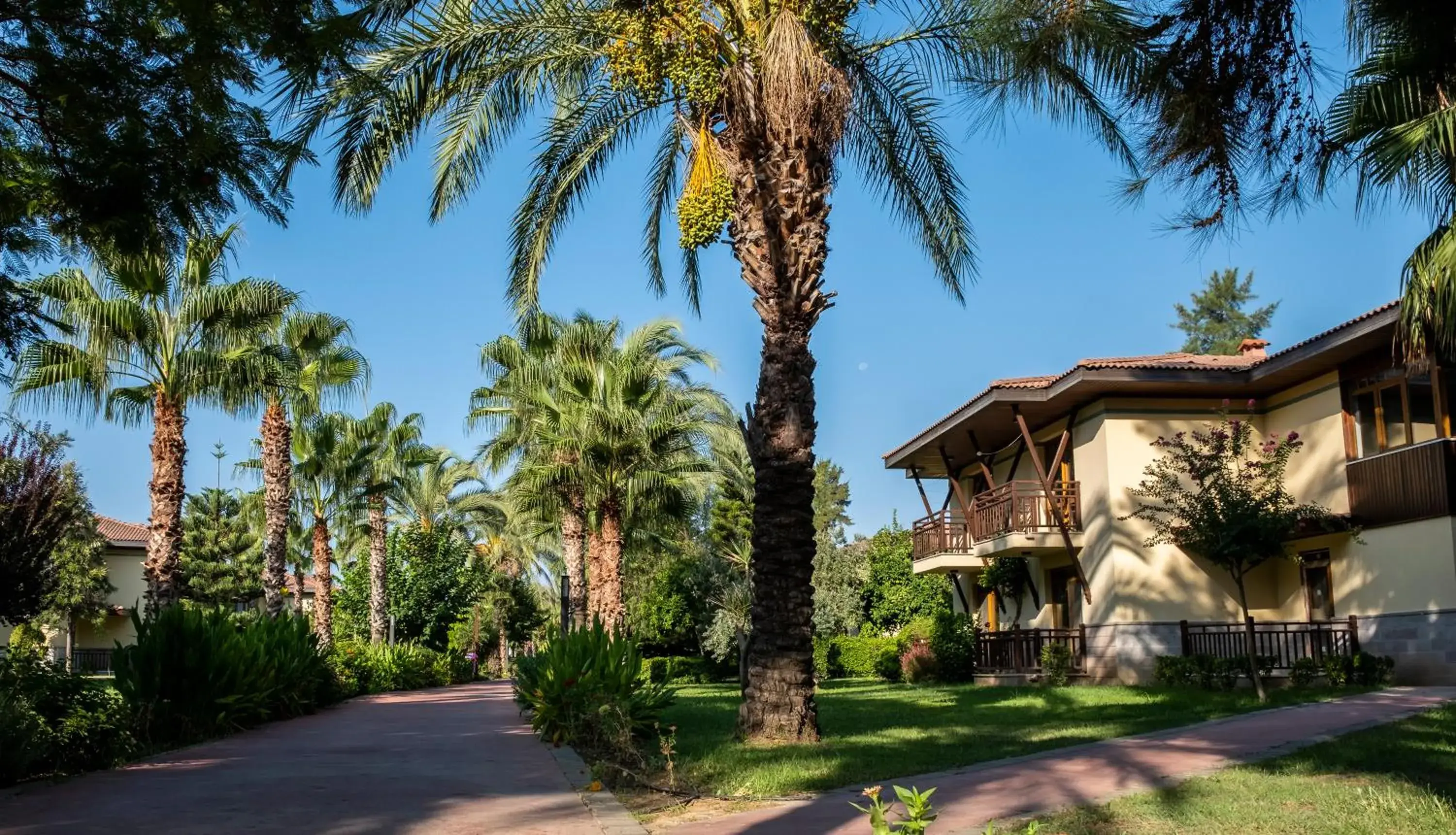 Garden, Property Building in Club Hotel Felicia Village