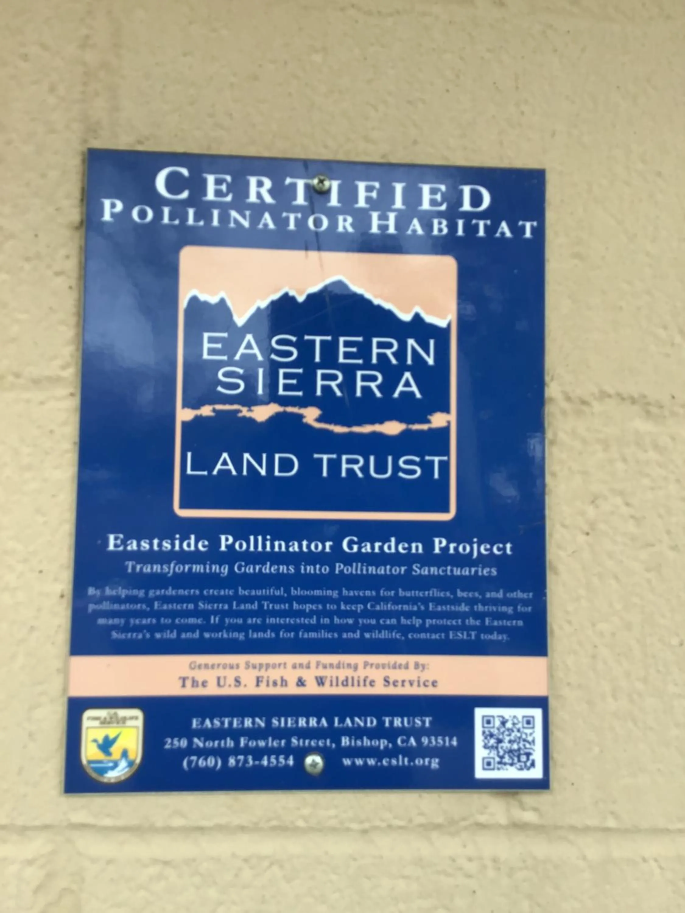 Certificate/Award in Starlight Motel