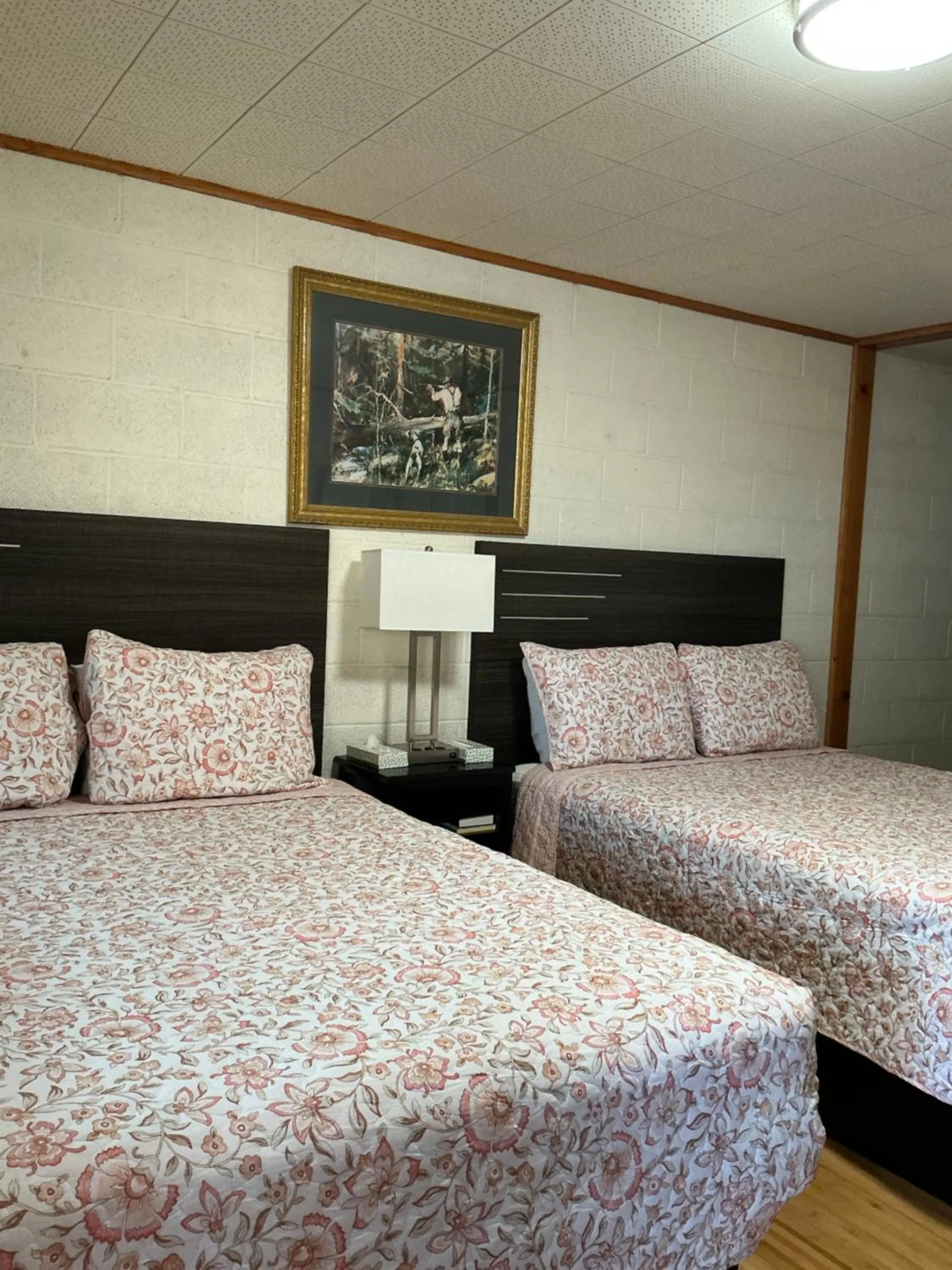 Bedroom, Bed in Starlight Motel