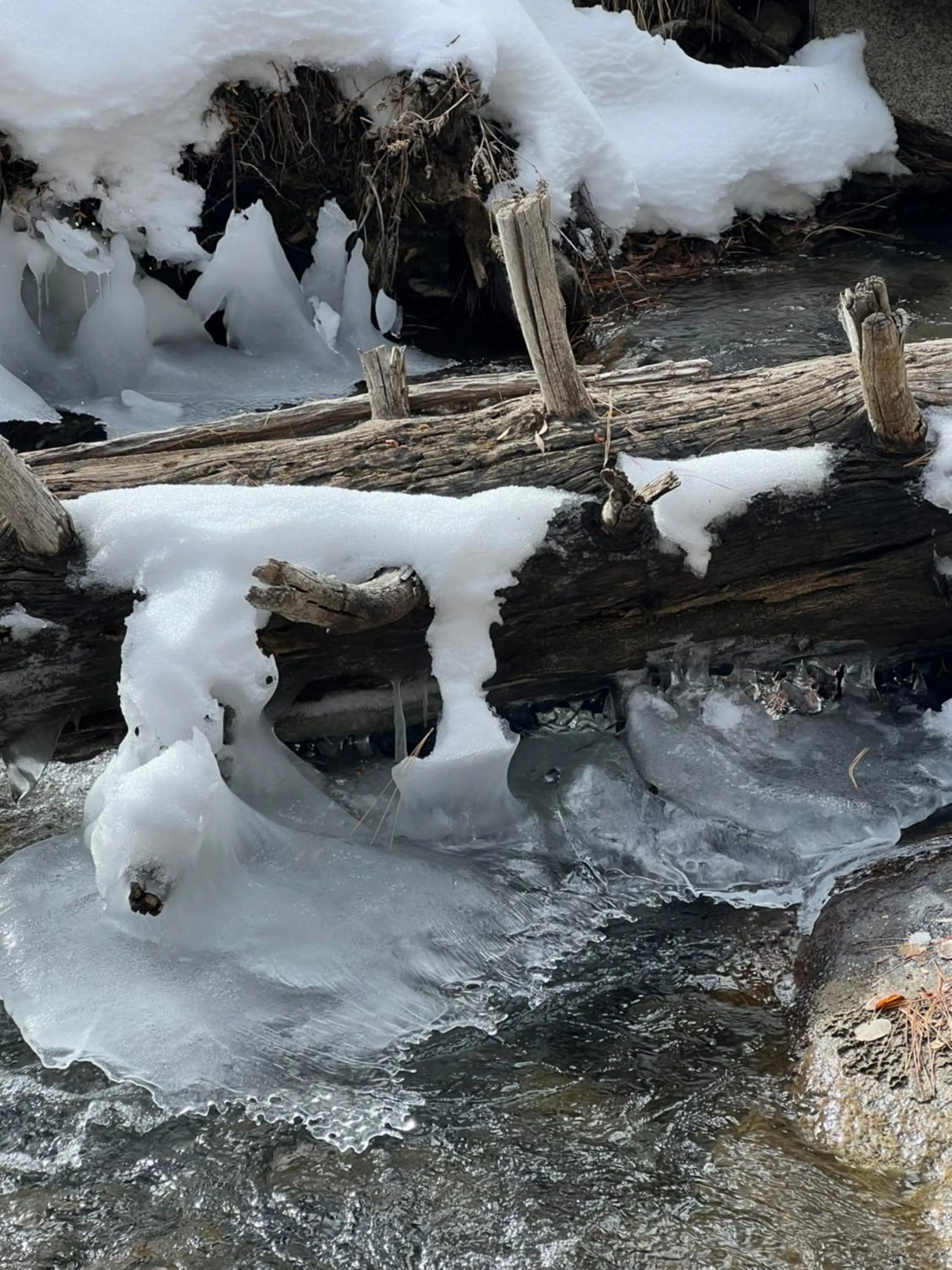 Off site in Starlight Motel