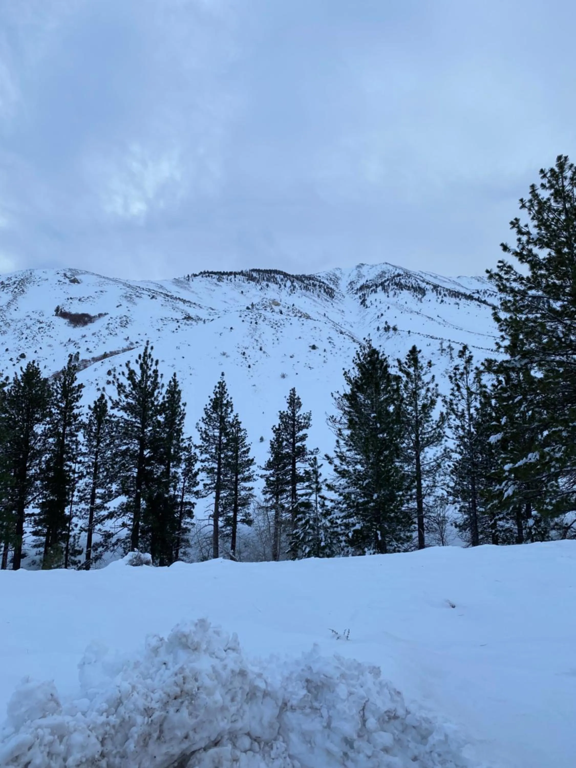 Off site in Starlight Motel