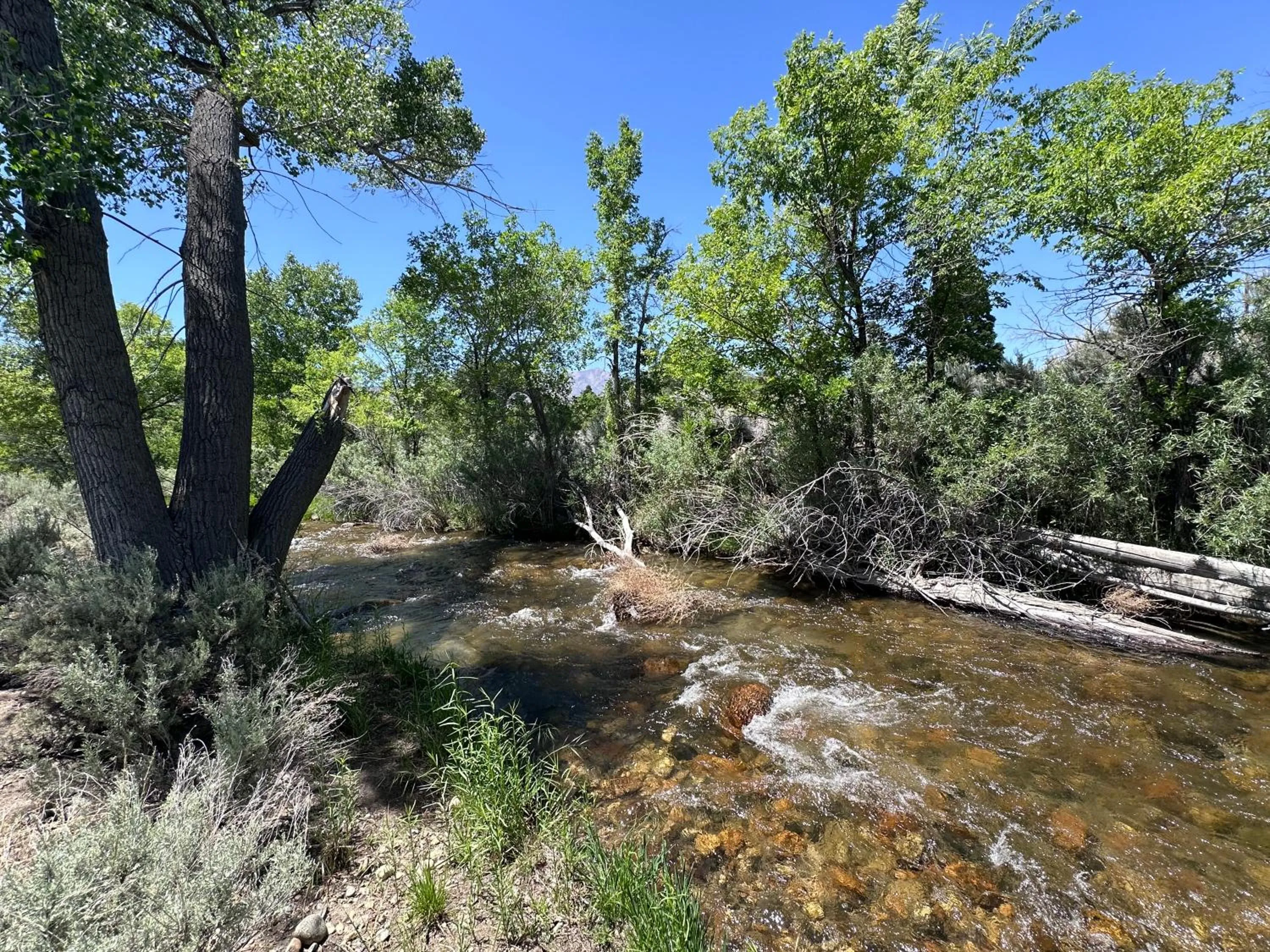 Nearby landmark in Starlight Motel