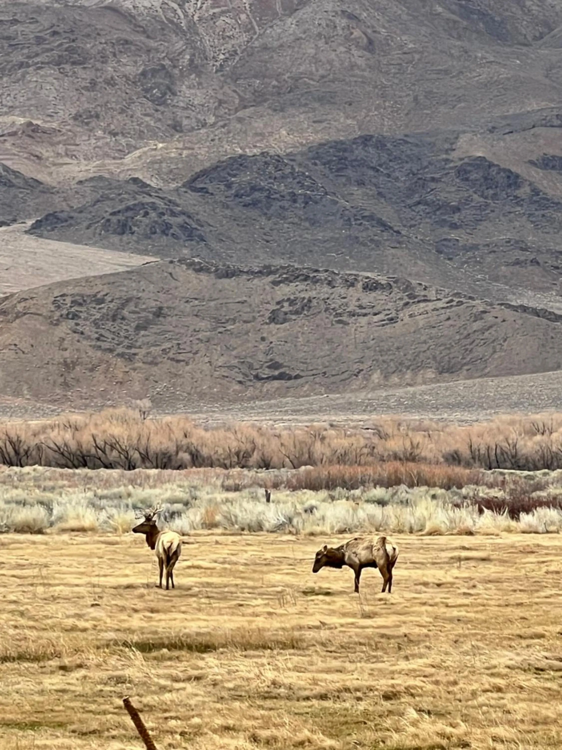 Natural landscape in Starlight Motel