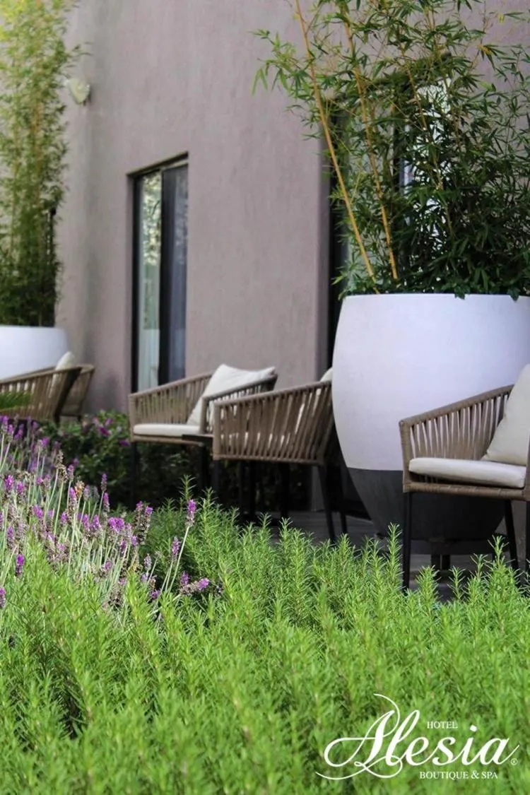 Patio in Alesia - Boutique Hotel & Spa