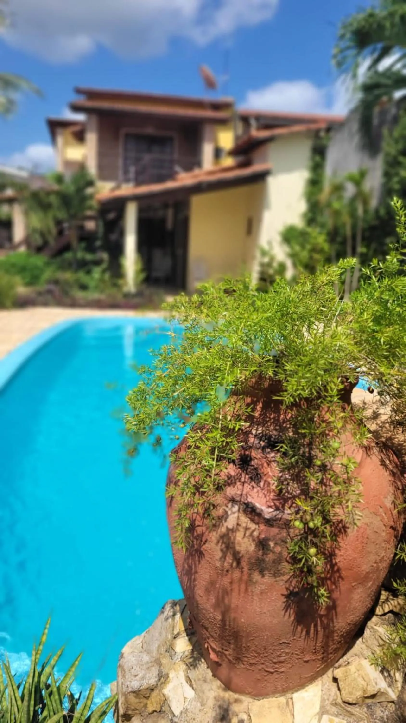 Swimming pool in Pousada Ello