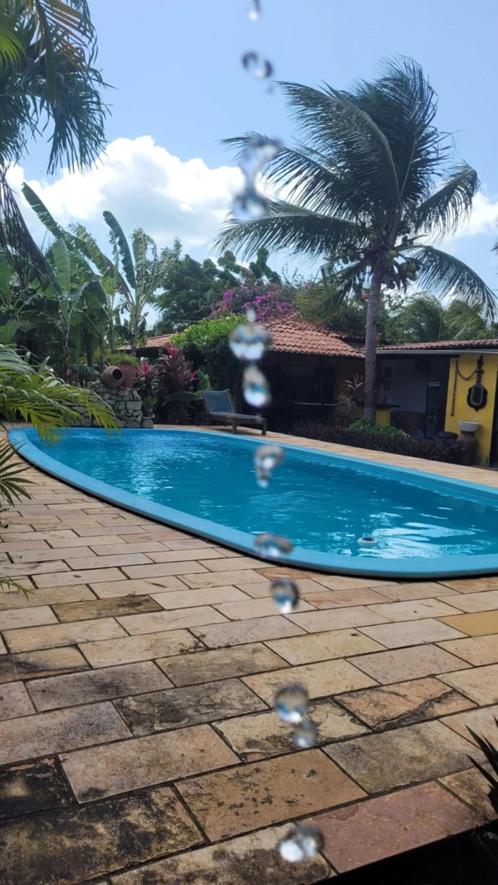 Garden in Pousada Ello