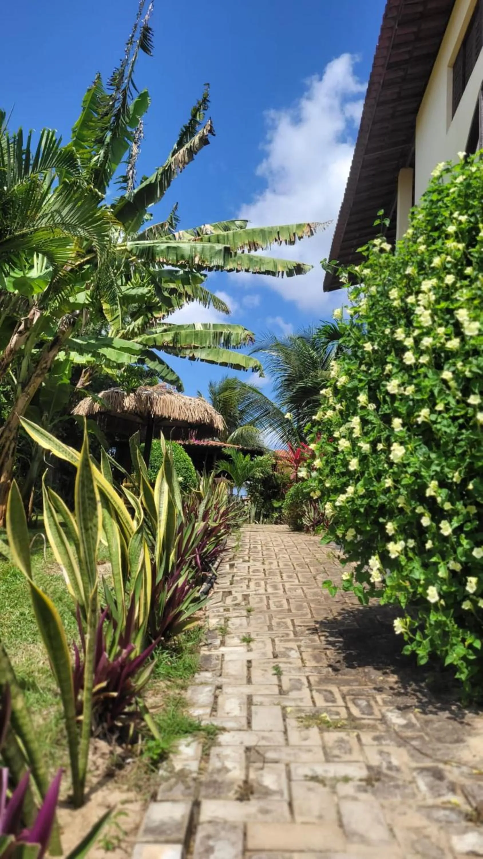 Spring in Pousada Ello