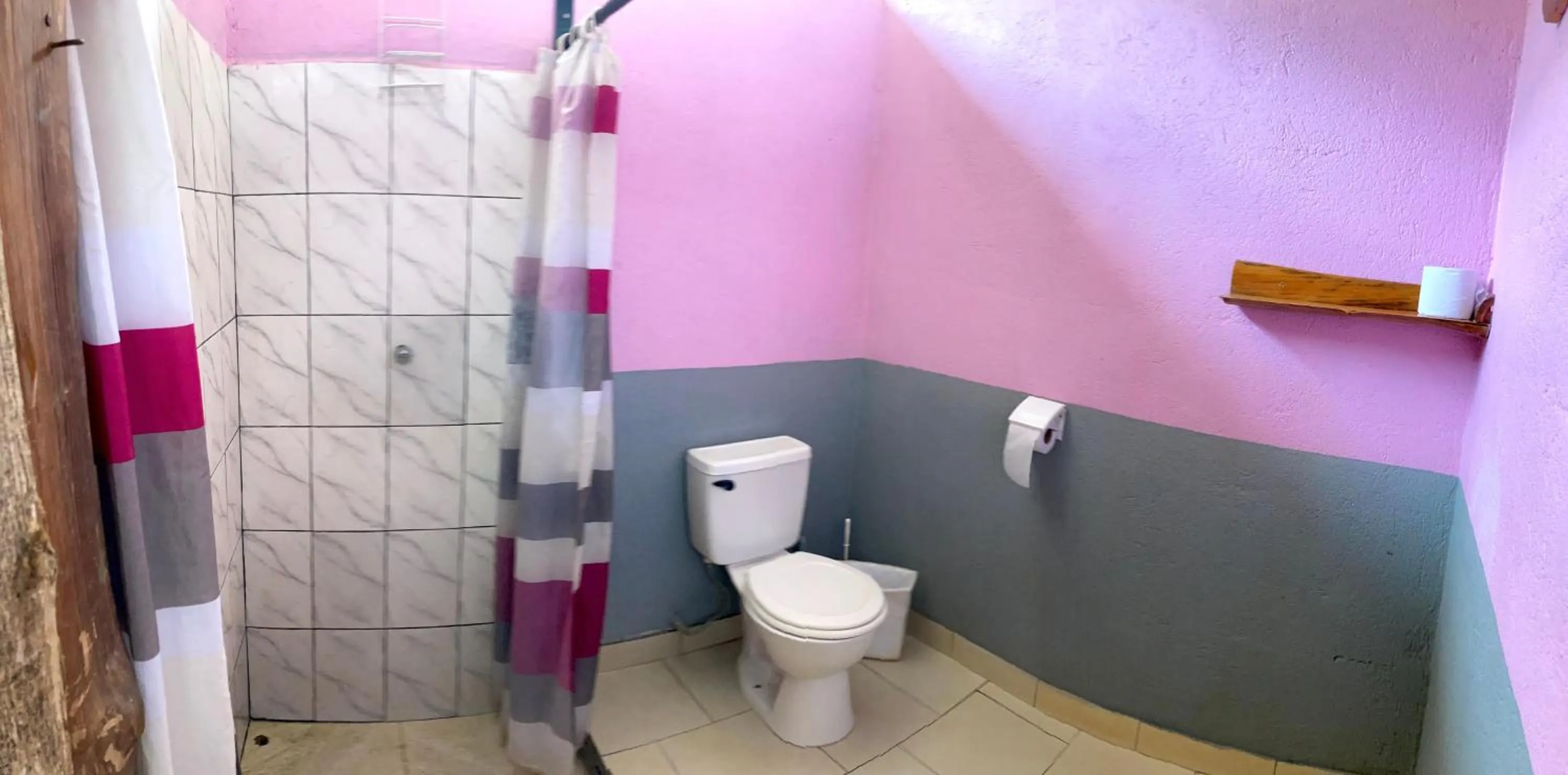 TamaHostel & Glamping