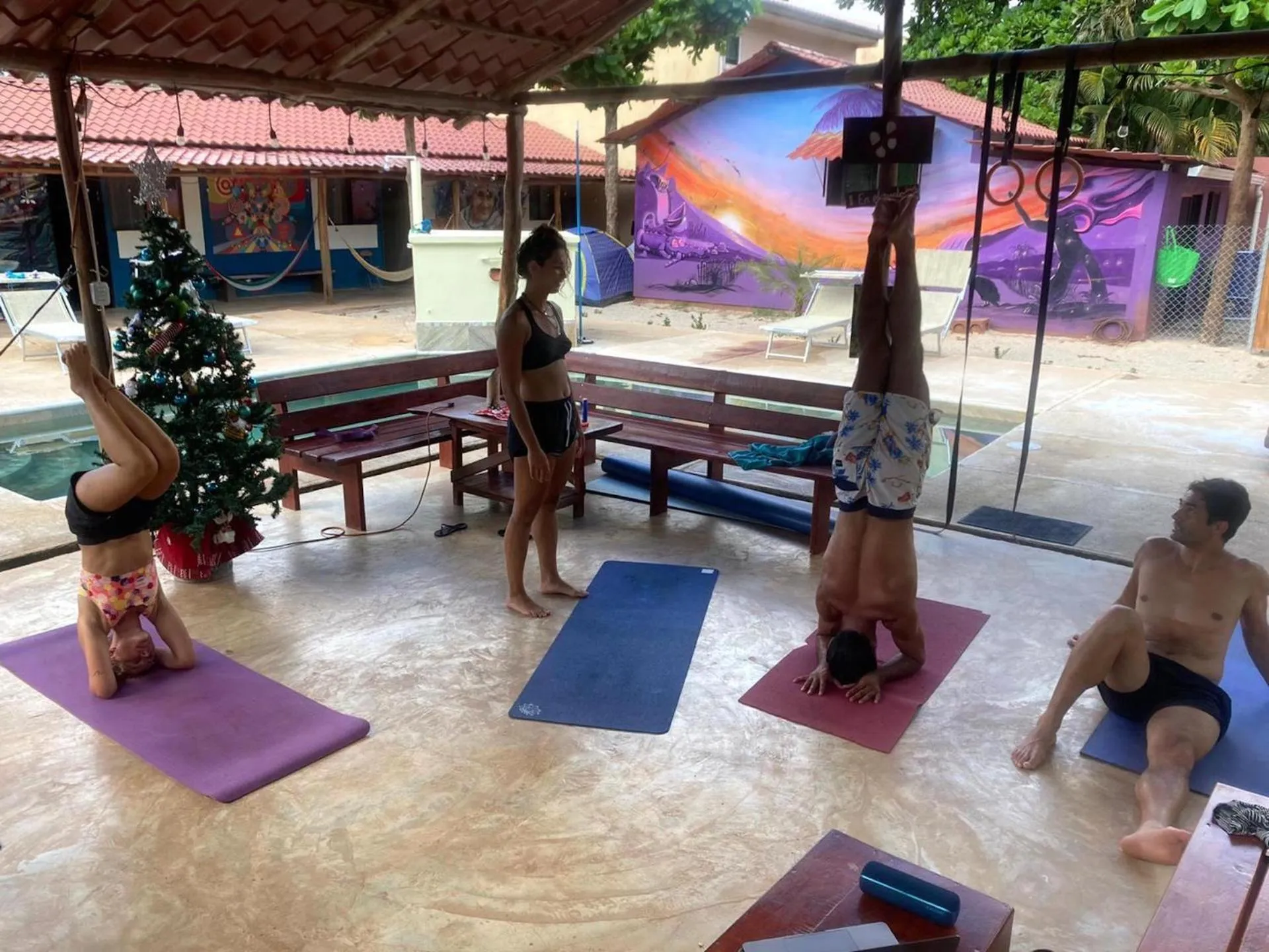 TamaHostel & Glamping