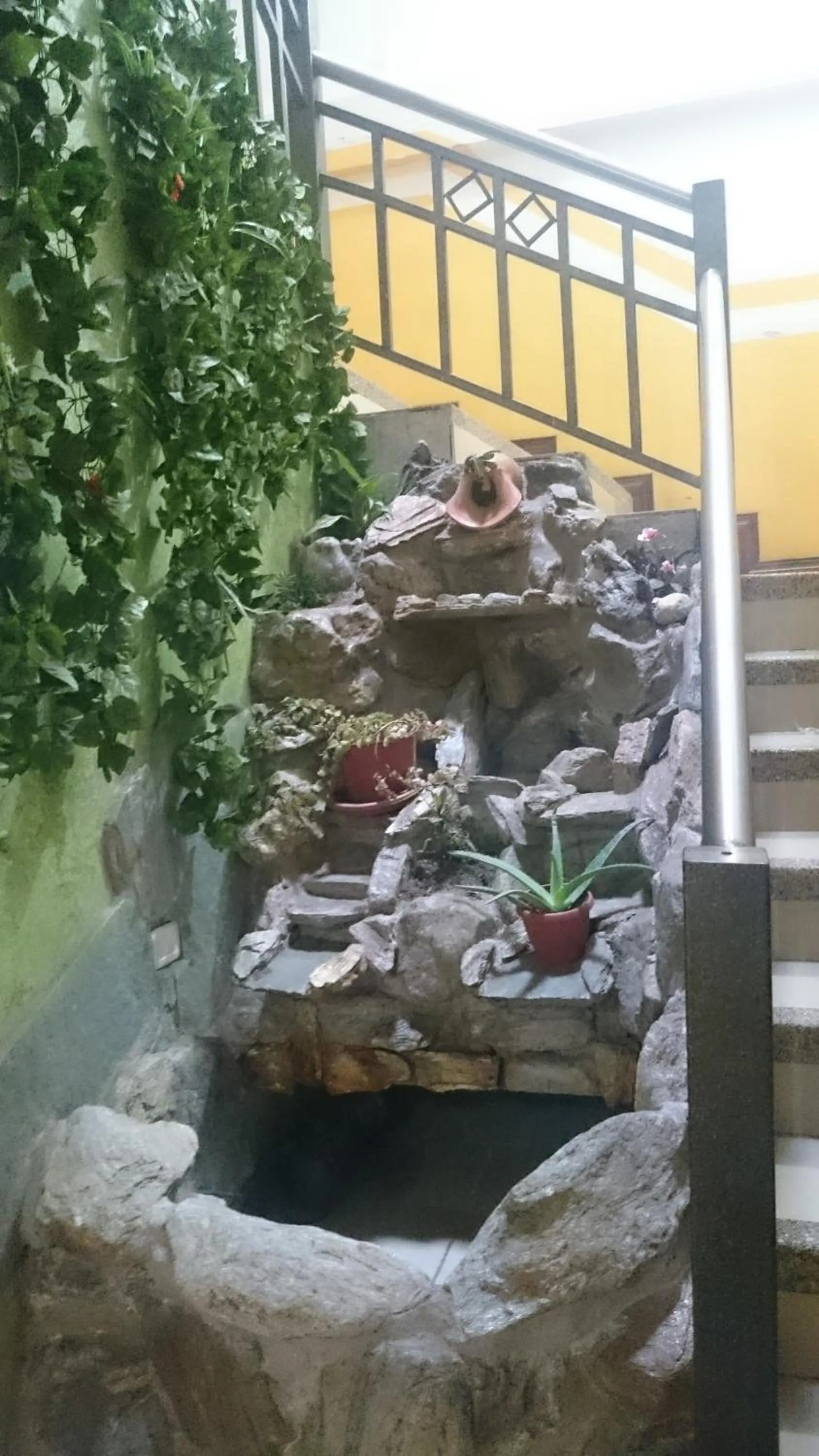 Garden in Hotel Villamar