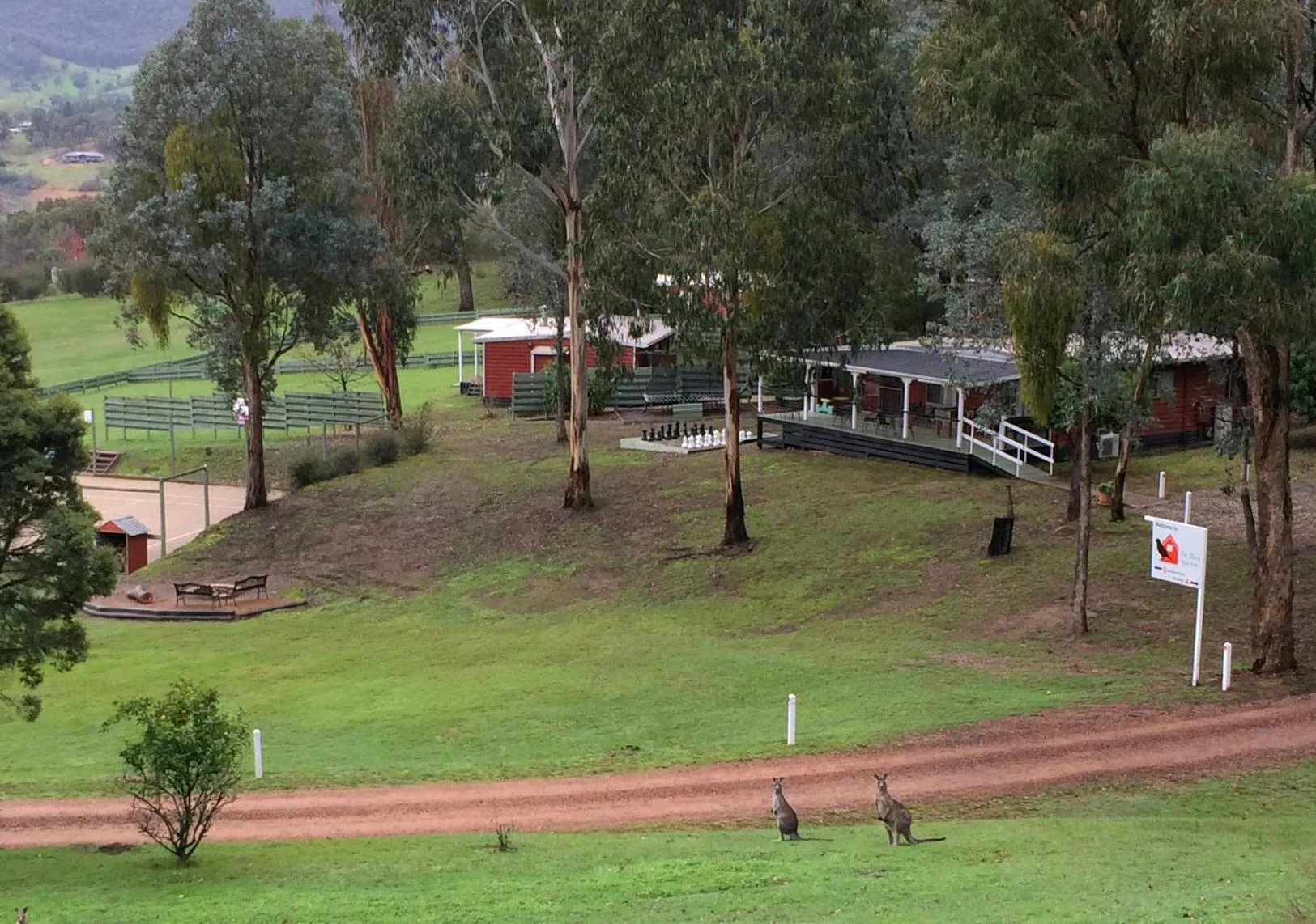 Natural landscape in The Black Sparrow