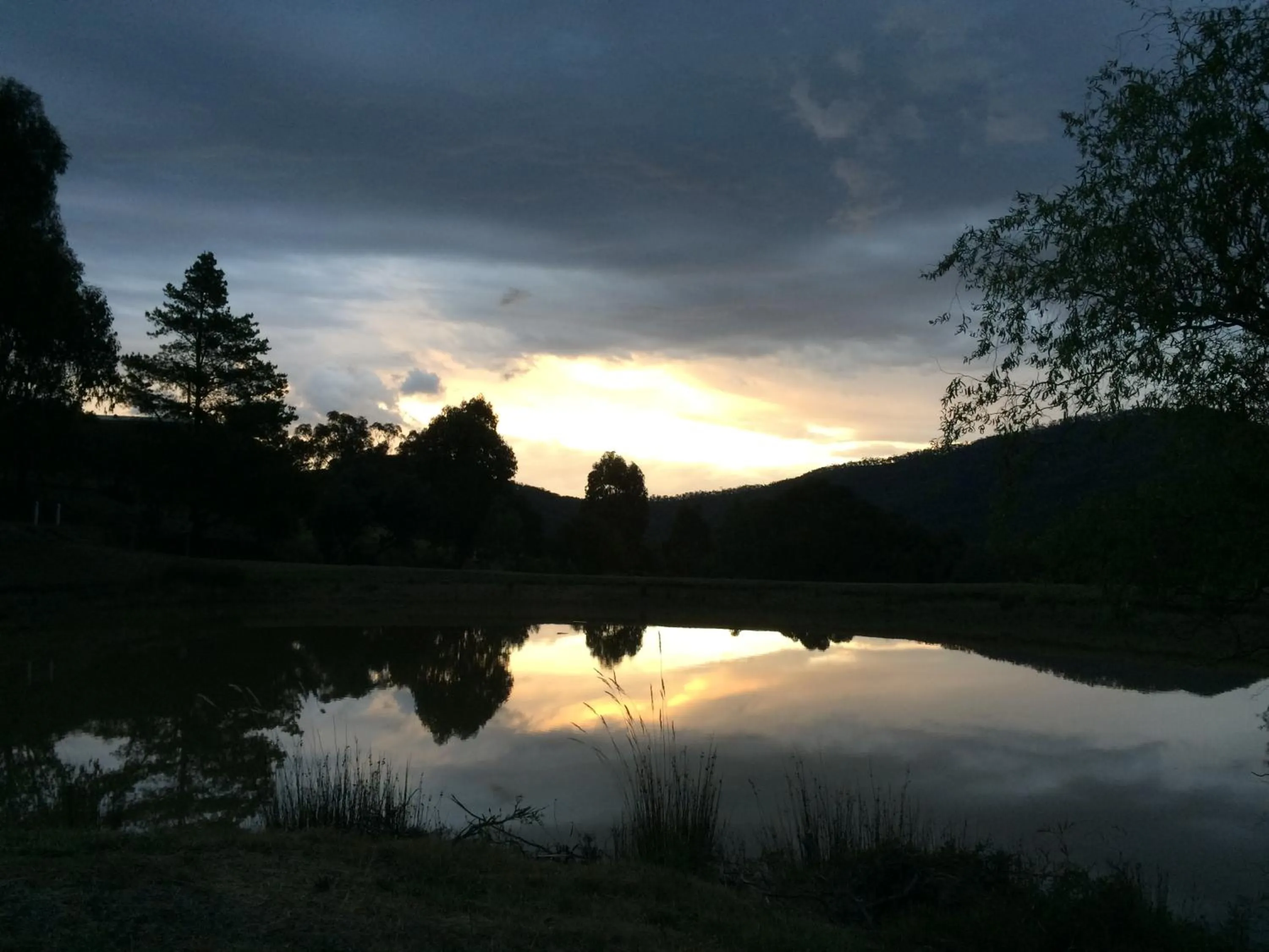 Natural landscape in The Black Sparrow