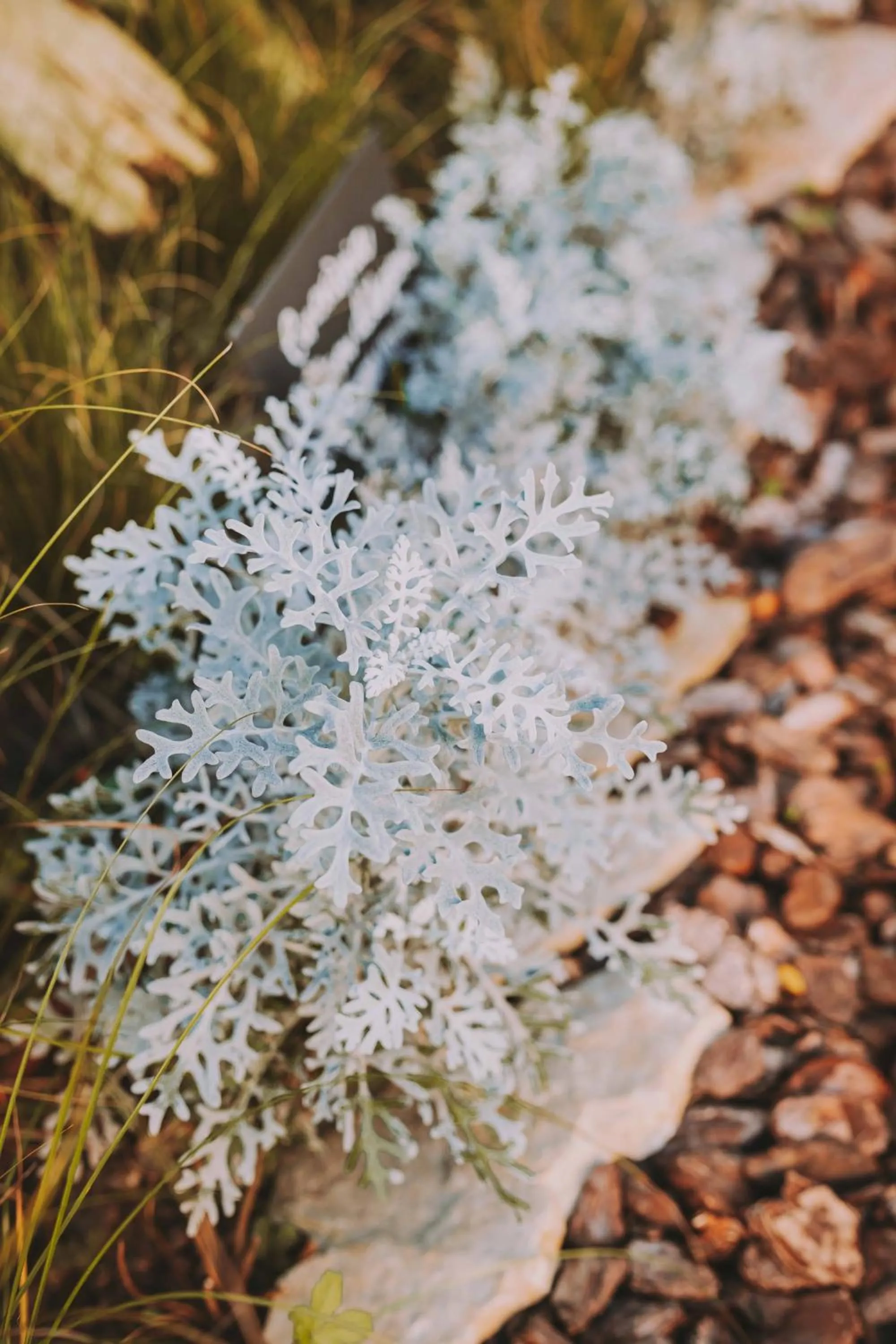 Garden in Hotel Bell Repos