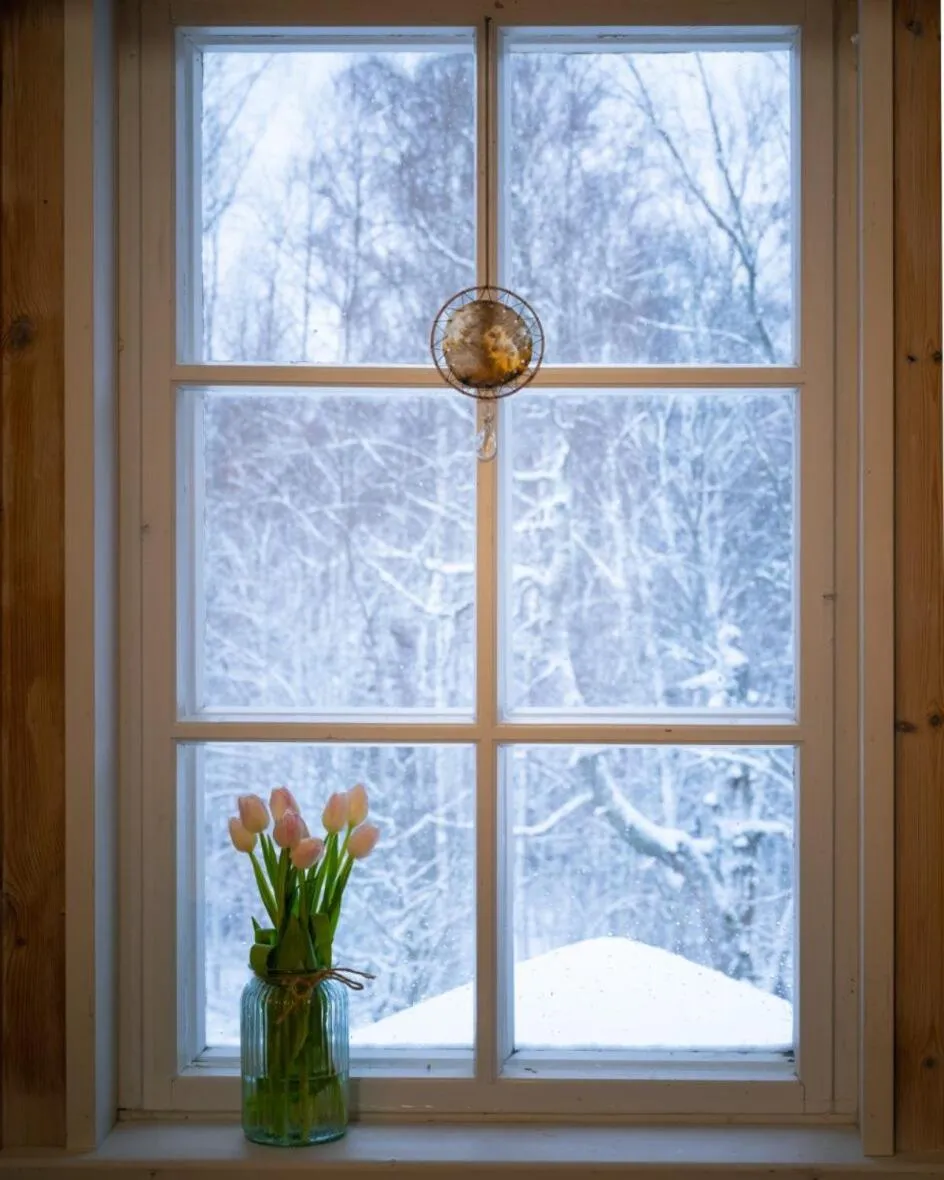 View (from property/room) in Kolin Mattila B&B