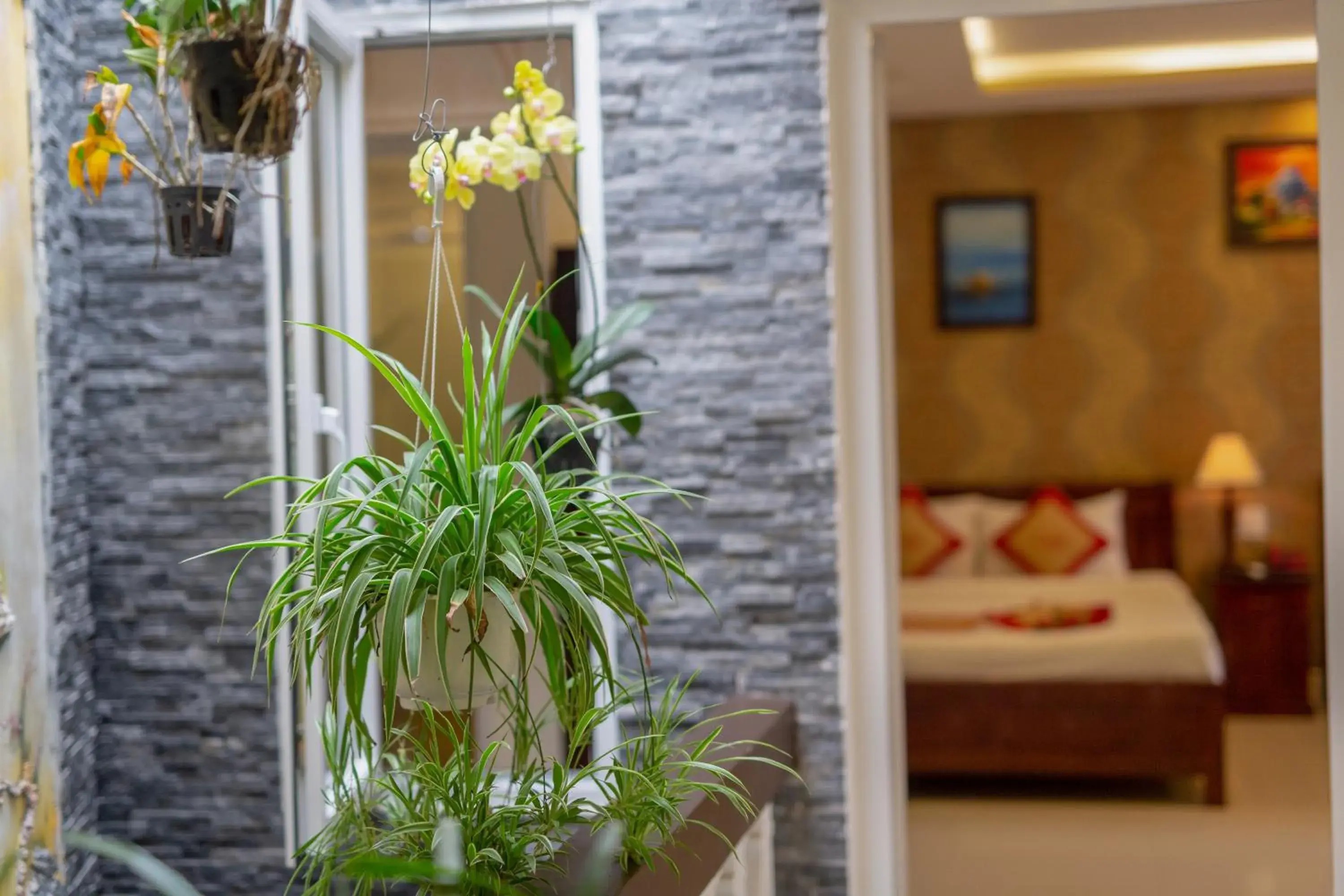 Area and facilities, Bed in Nu Ni Homestay Area and facilities, Bed in Nu Ni Homestay