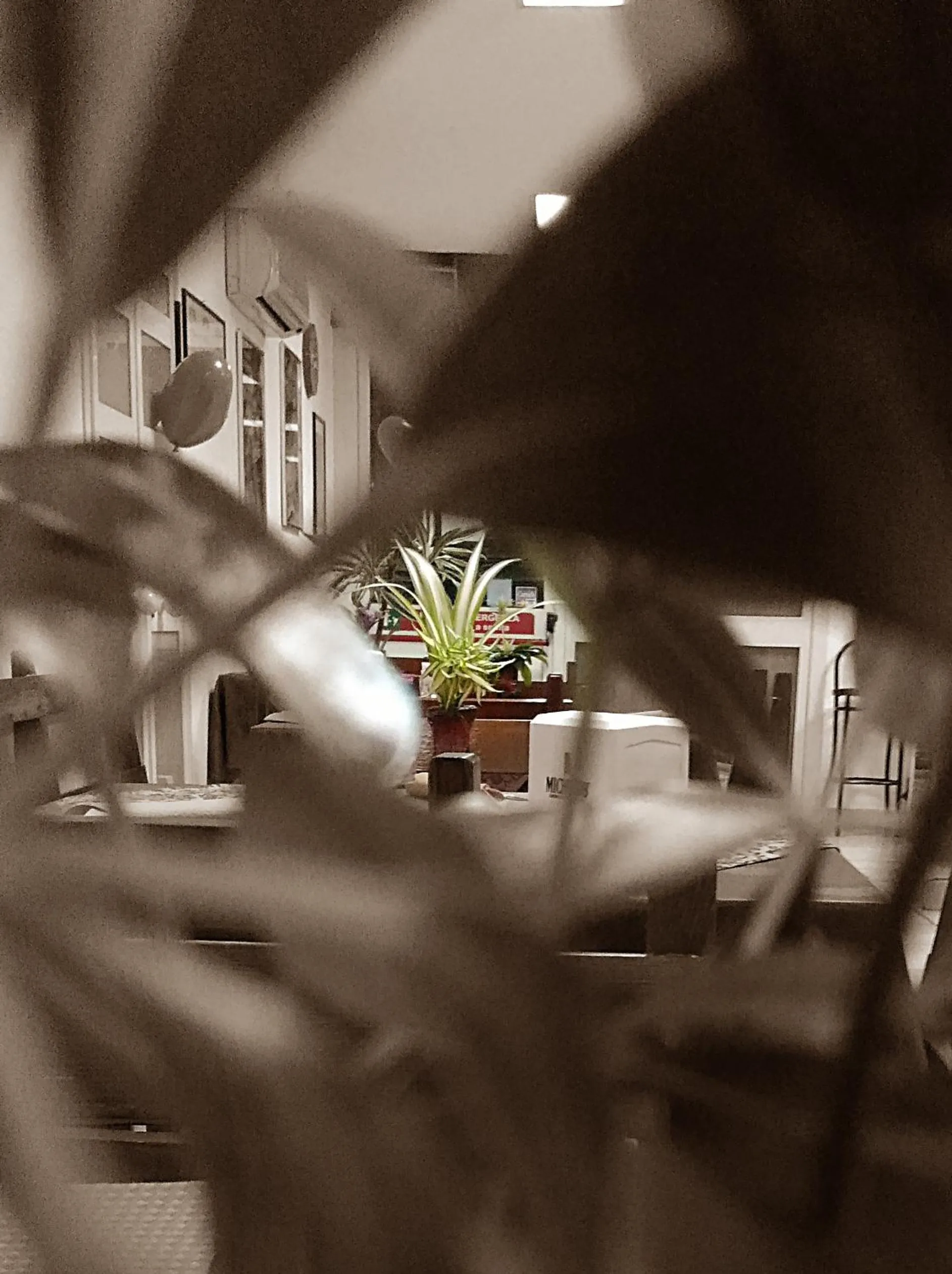 Lounge or bar in Hotel Sirio