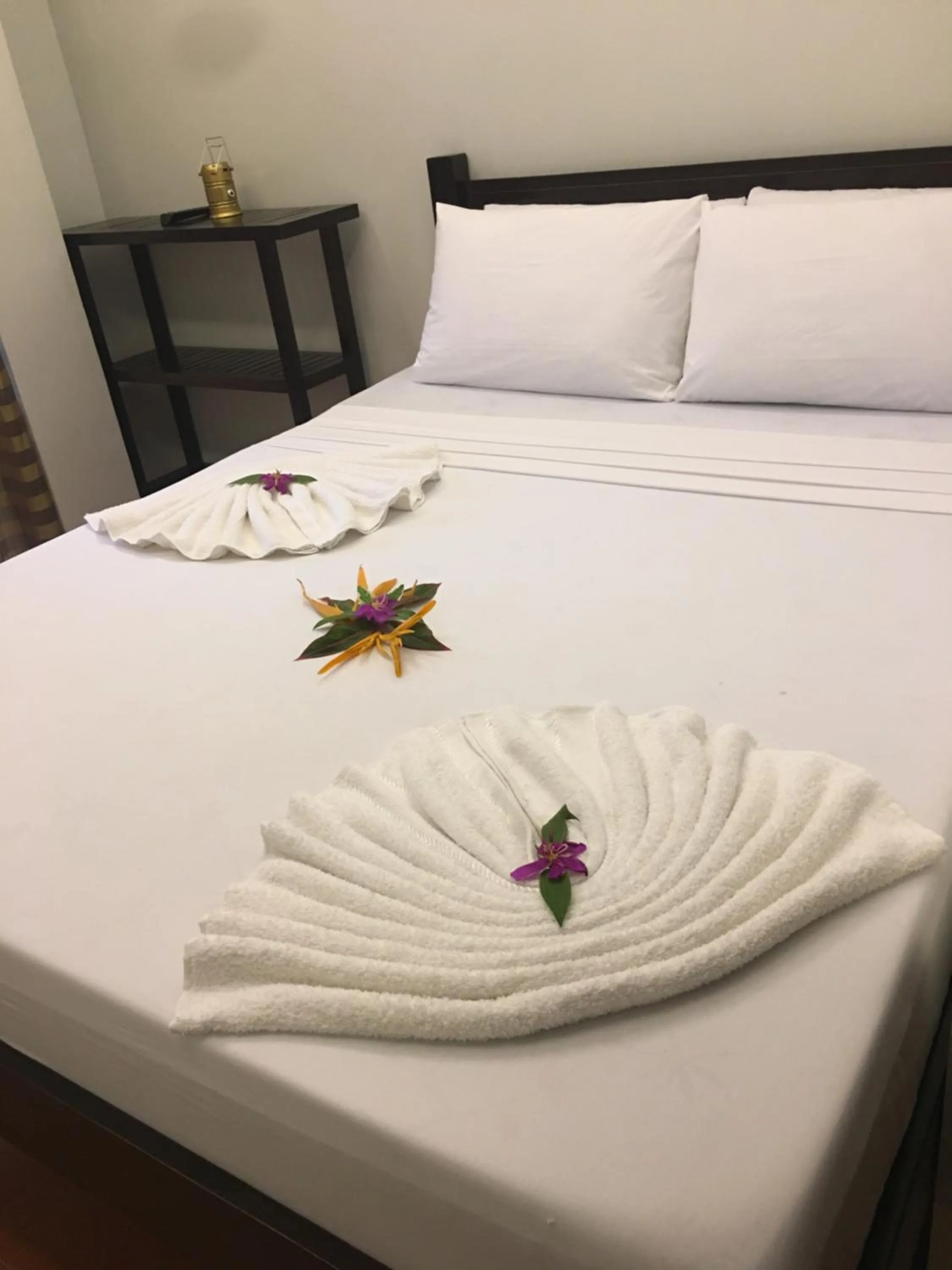 Bed in Seaslugs Travellers Inn