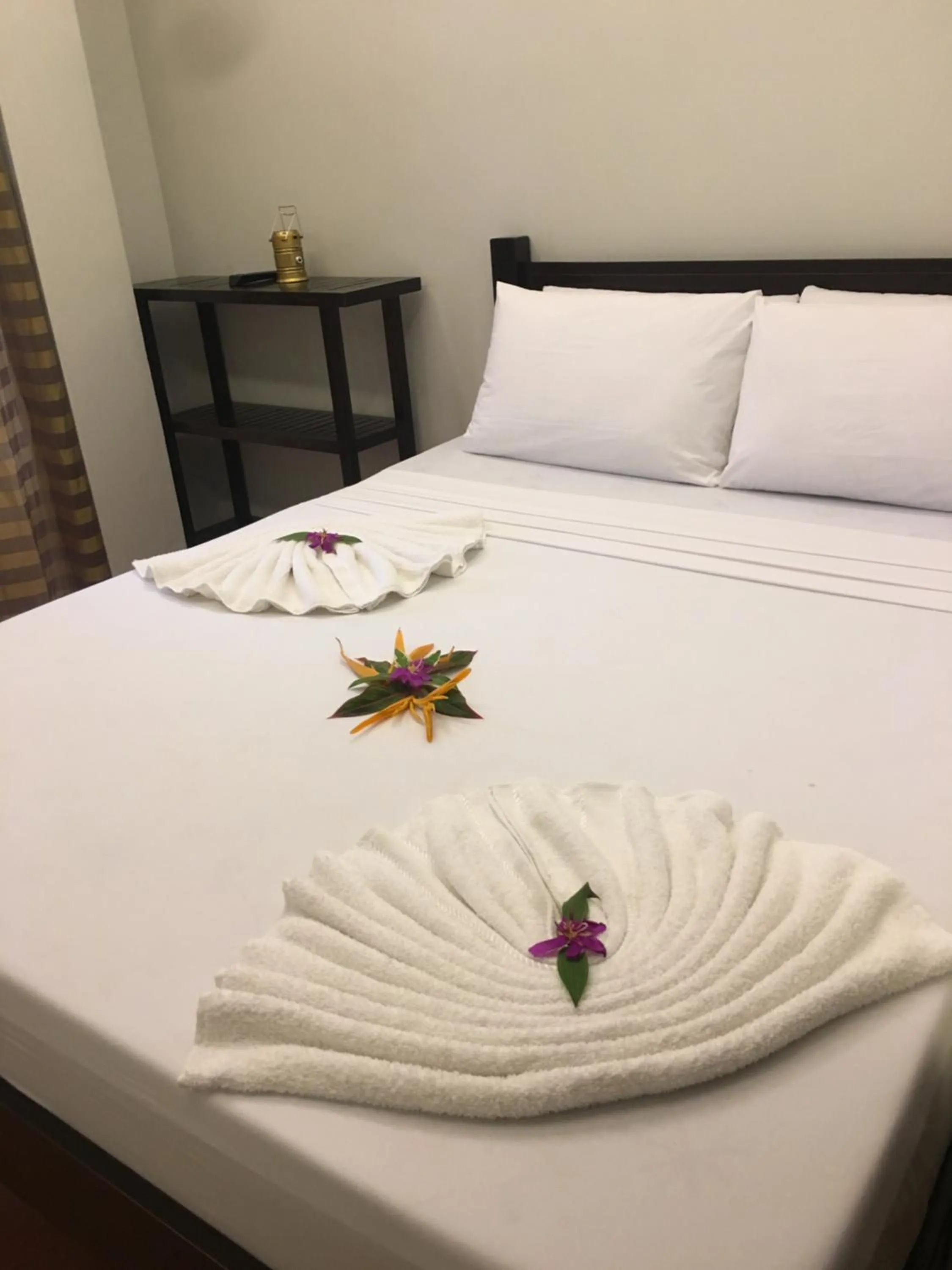 Bed in Seaslugs Travellers Inn