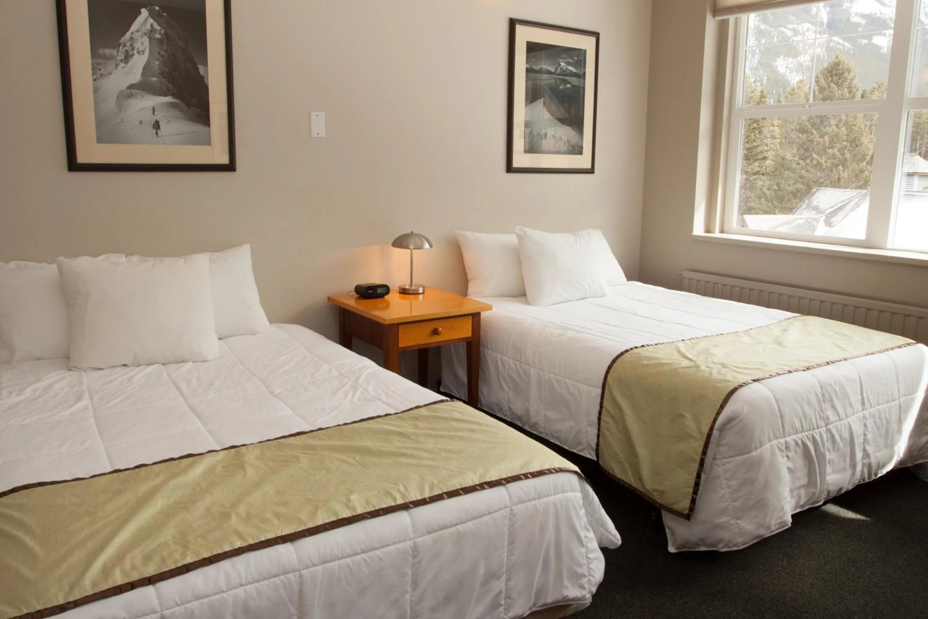 Photo of the whole room in YWCA Banff Hotel