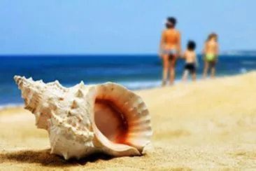 Decorative detail in Residence Doral