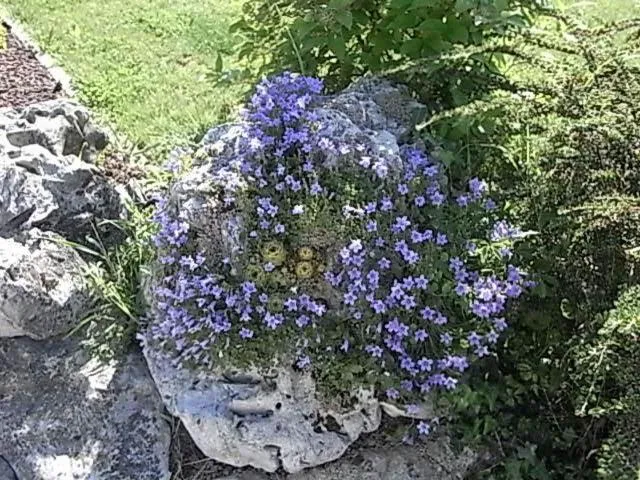 Bed & breakfast Villa Lisetta