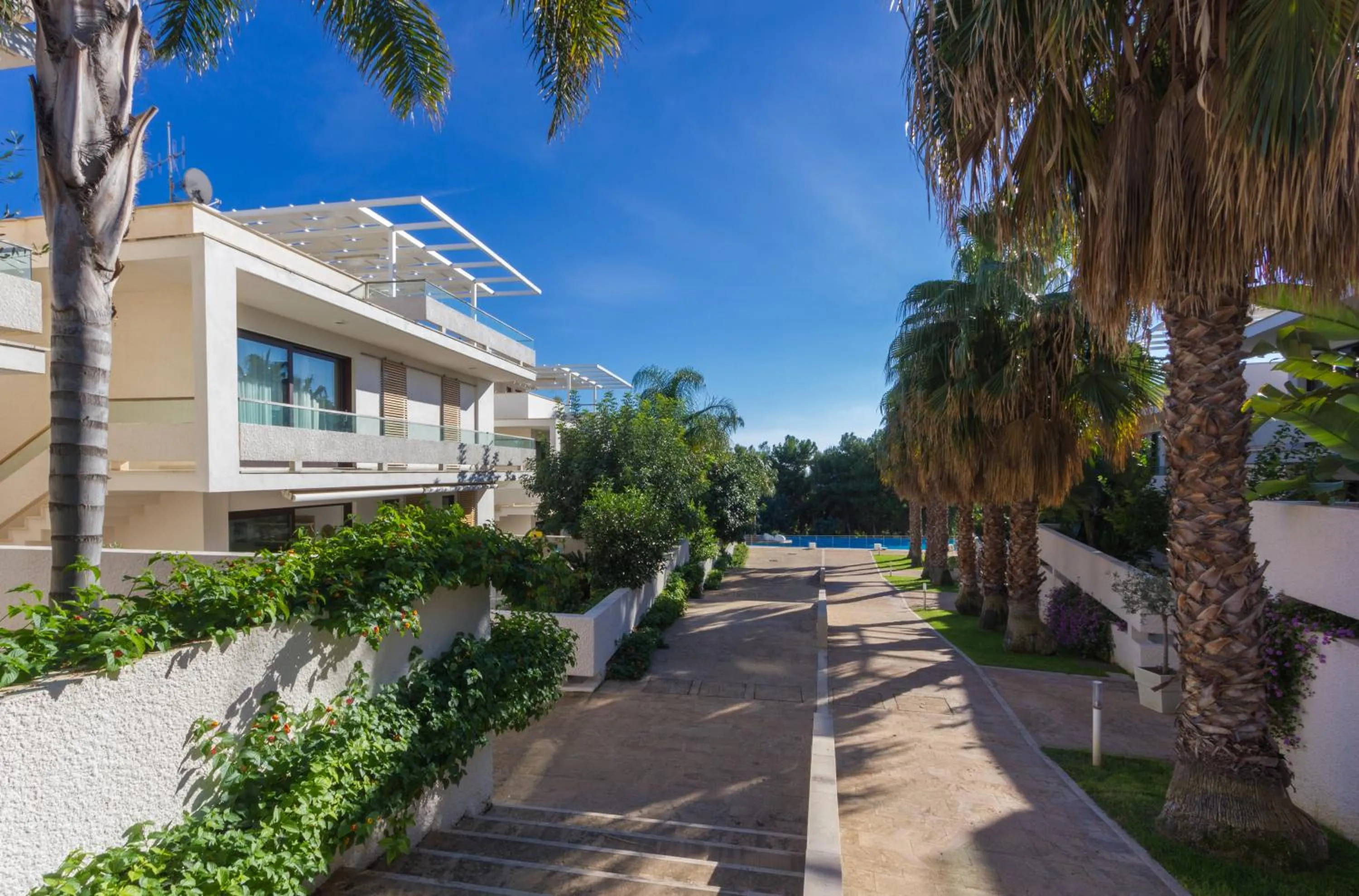 Garden in Kamena Residence