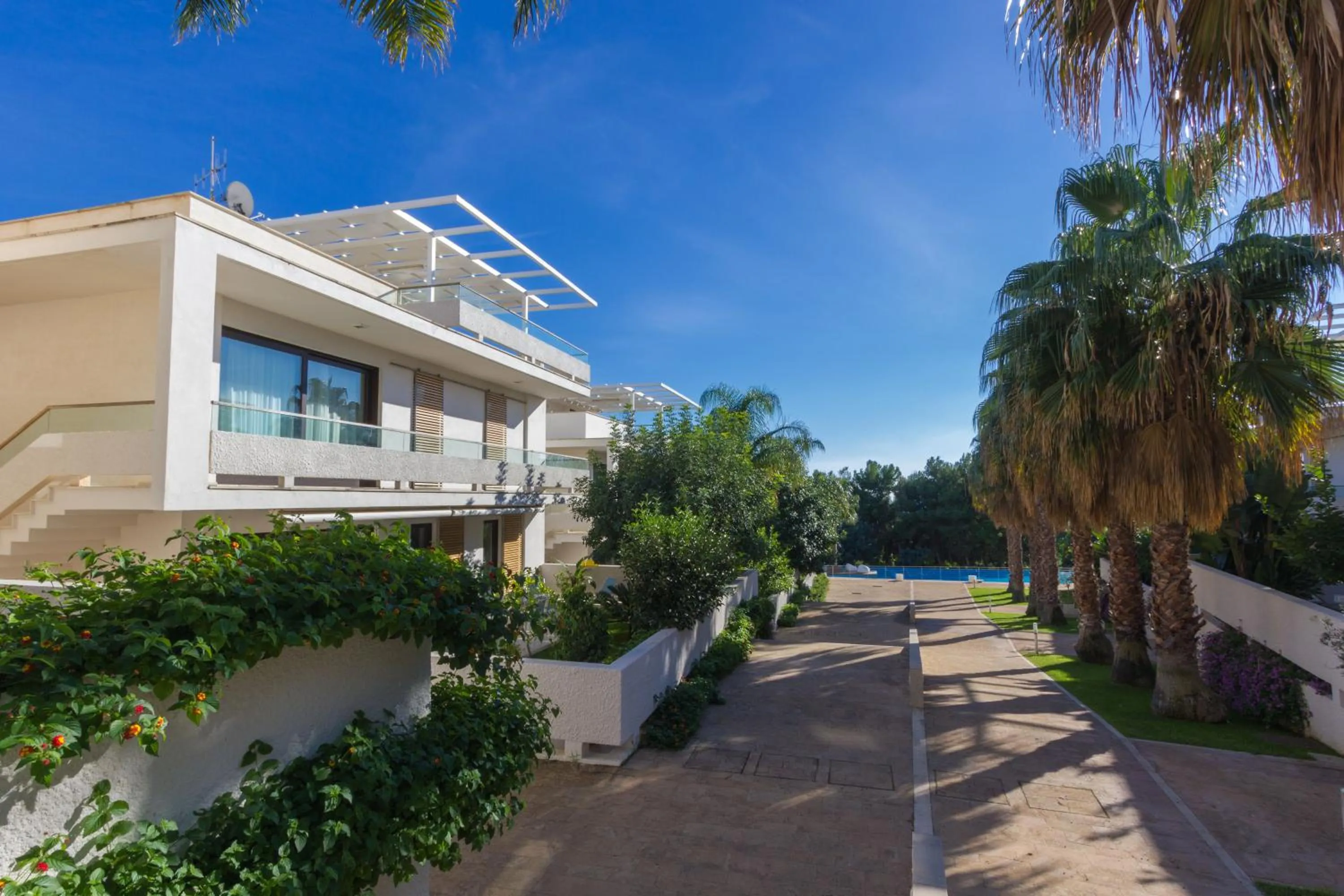 Garden in Kamena Residence