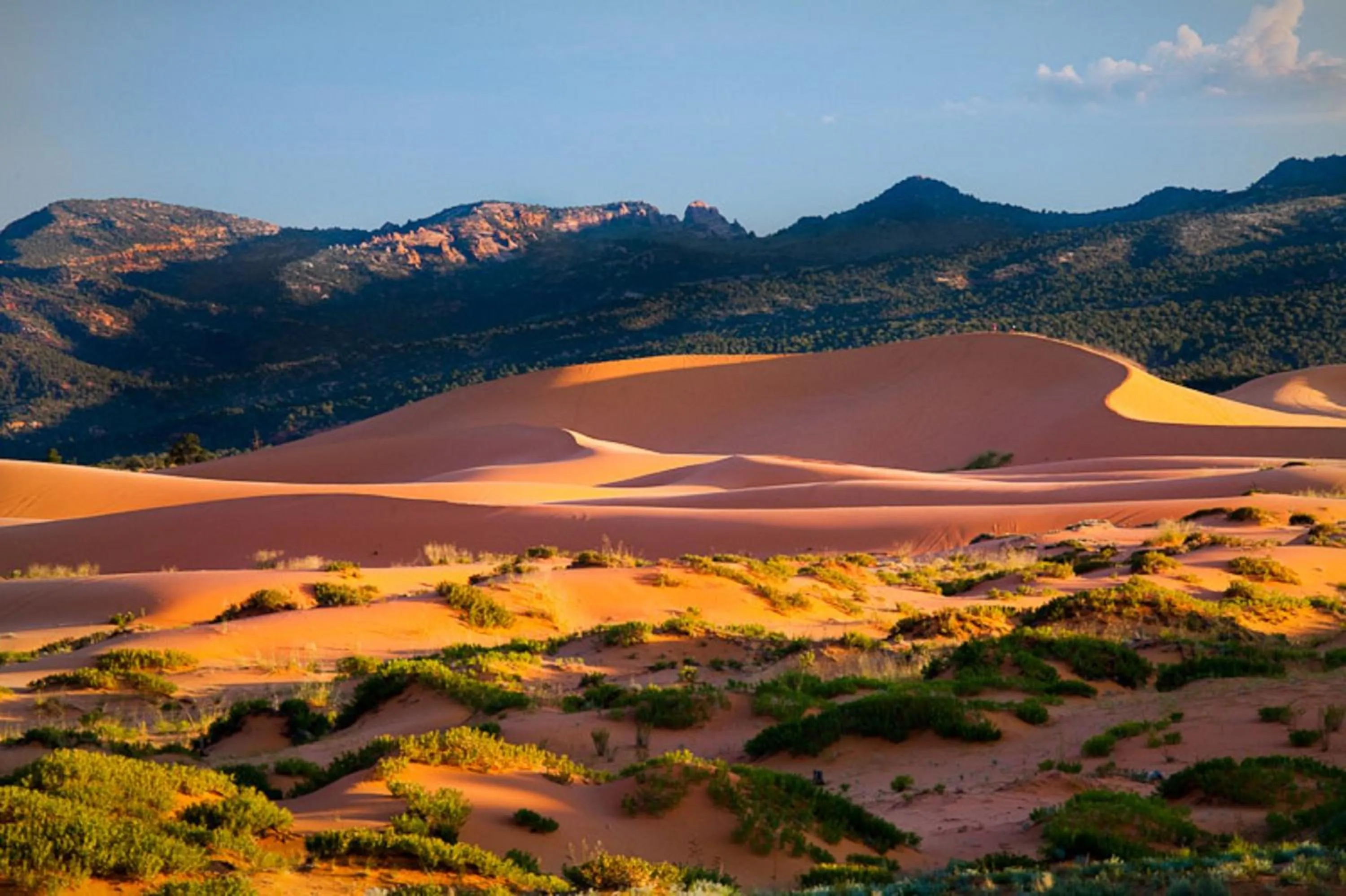 Area and facilities in Holiday Inn Express & Suites Kanab by IHG