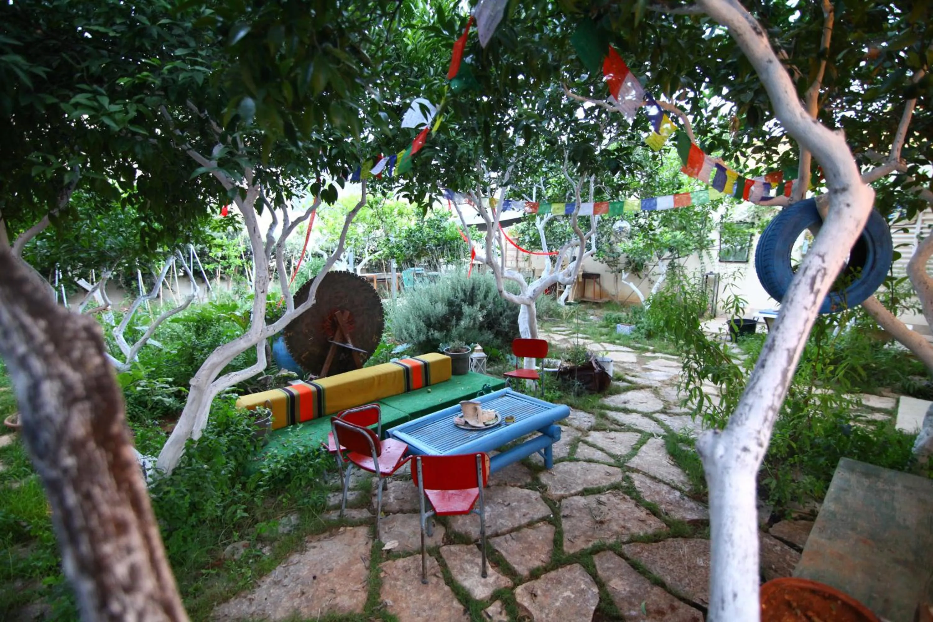 Garden in Timbuktu Hostel