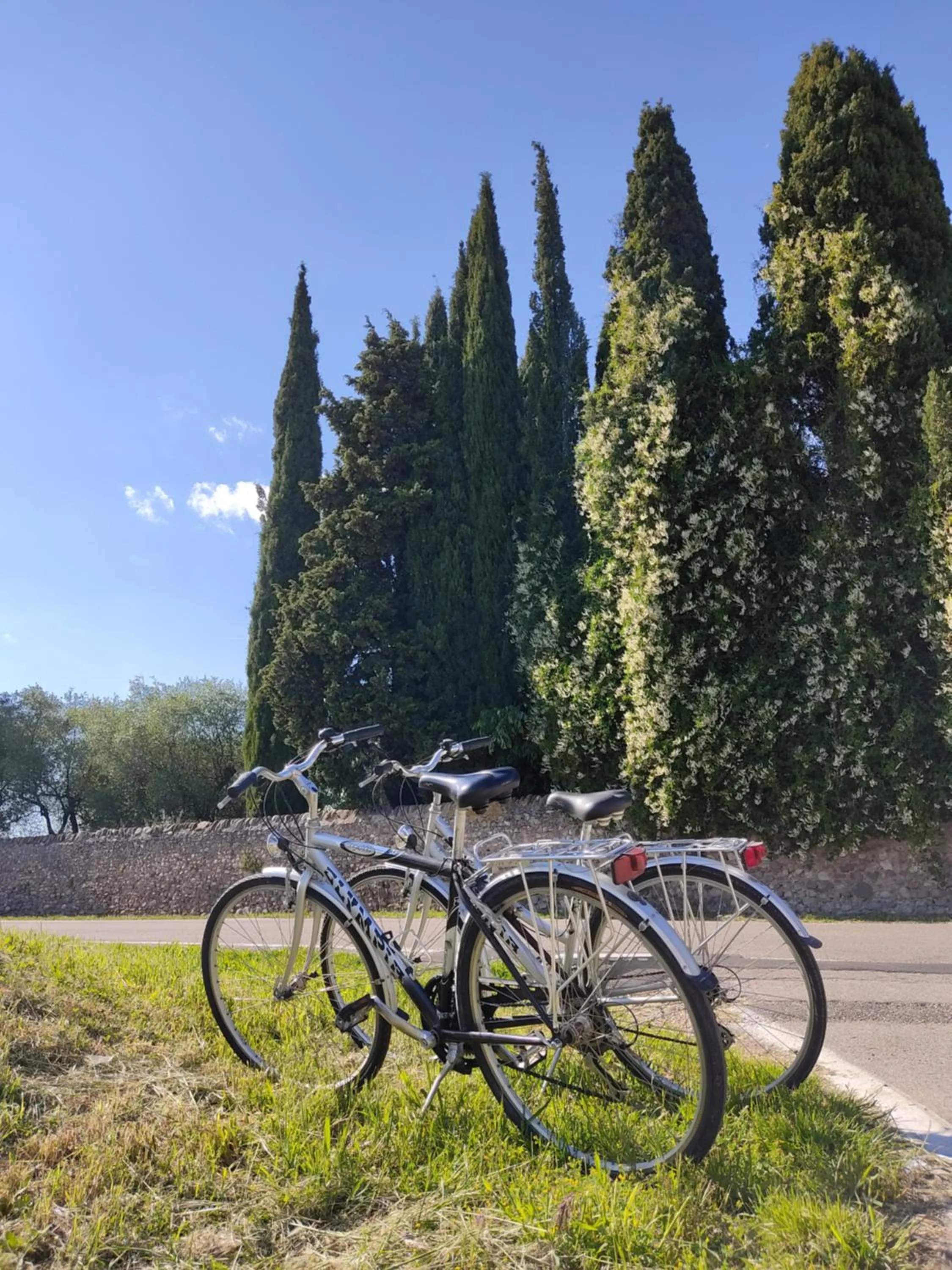 Cycling in Casa Pepe