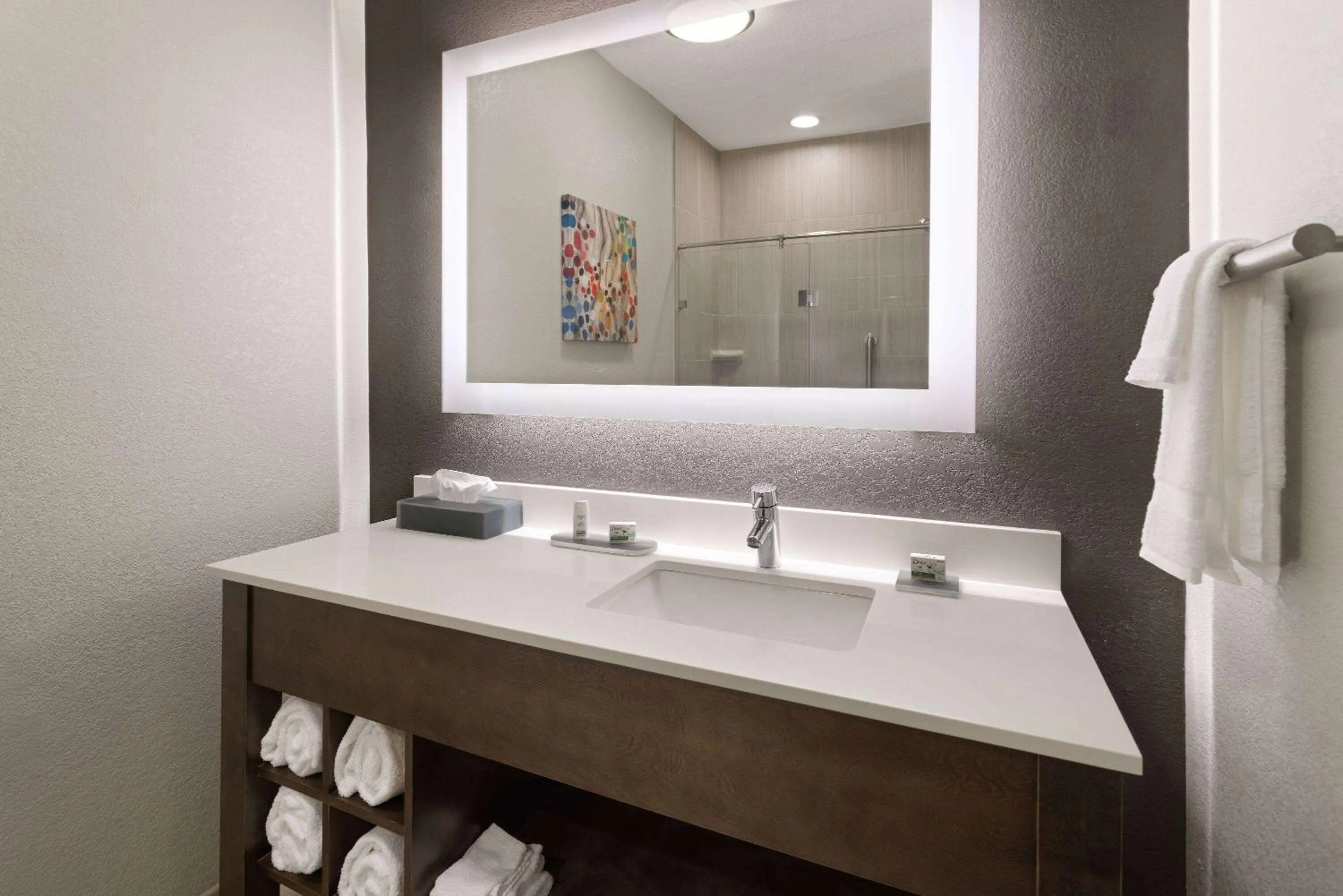 Bathroom in La Quinta by Wyndham Kokomo