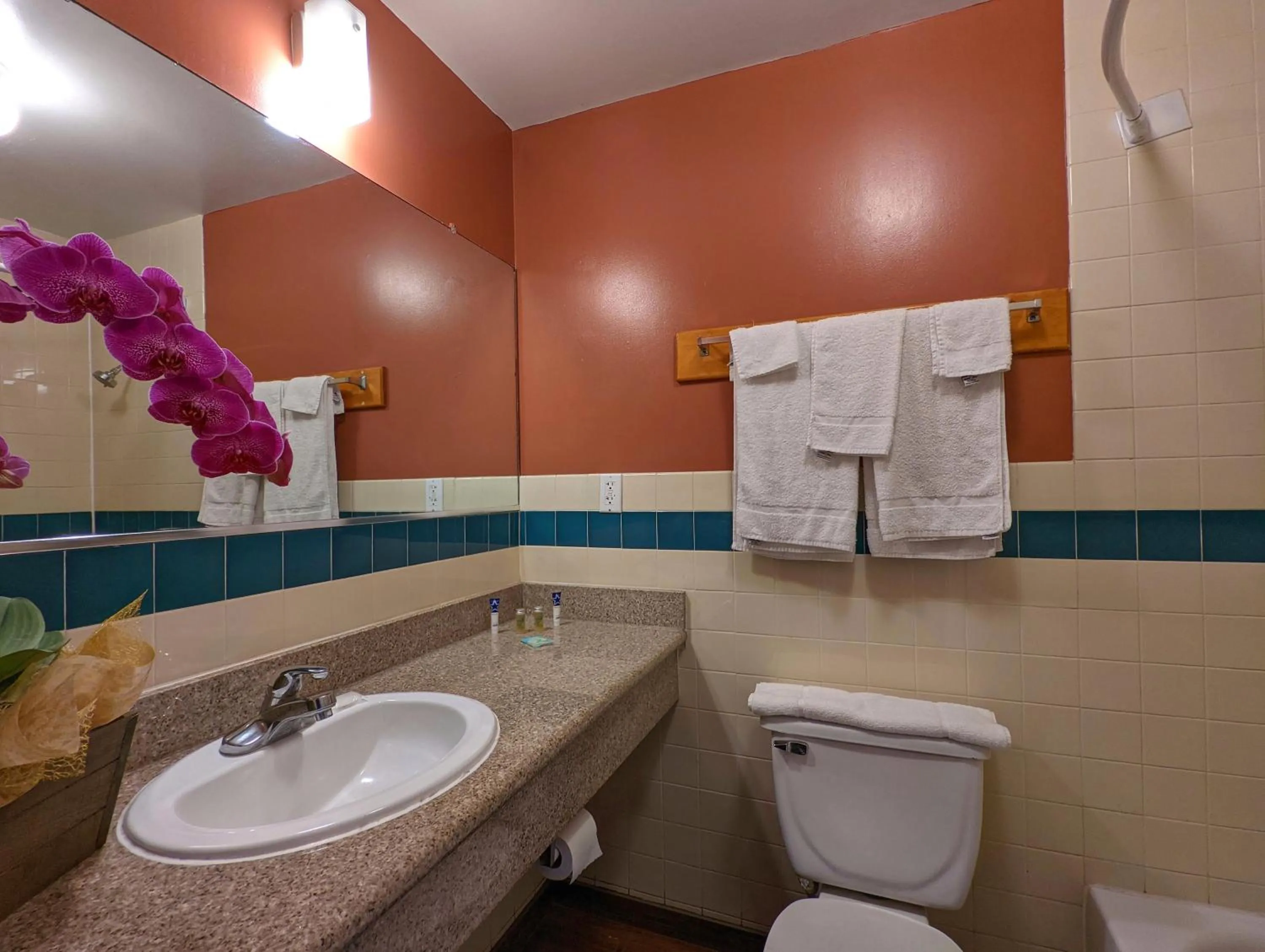 Toilet in Americas Best Value Inn Oxnard-Port Hueneme