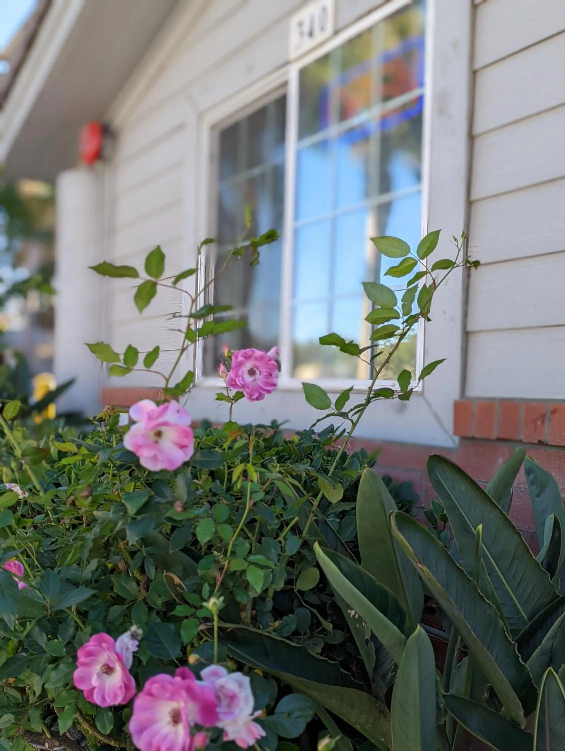 Patio in Americas Best Value Inn Oxnard-Port Hueneme