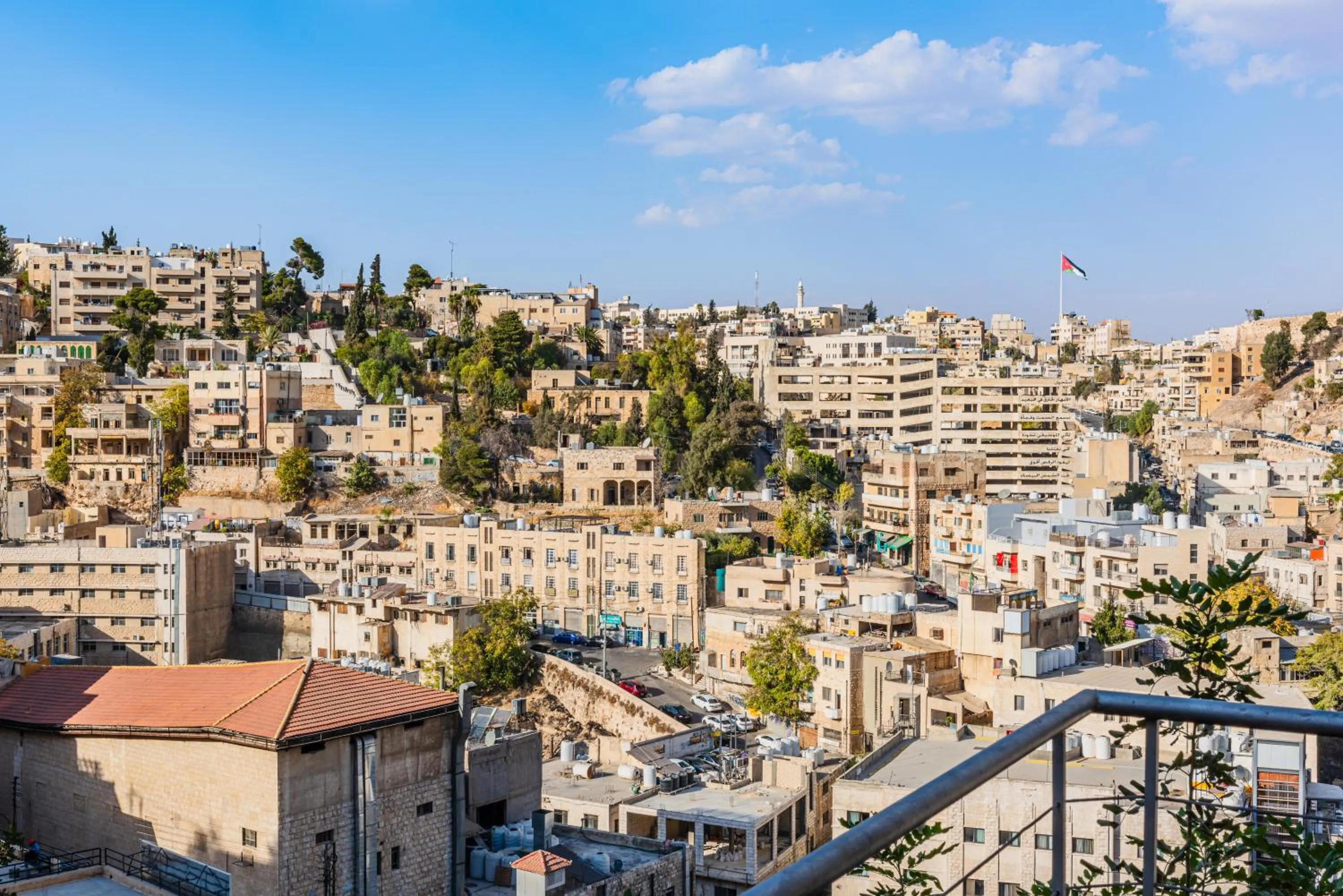 City view in Wild Jordan Center