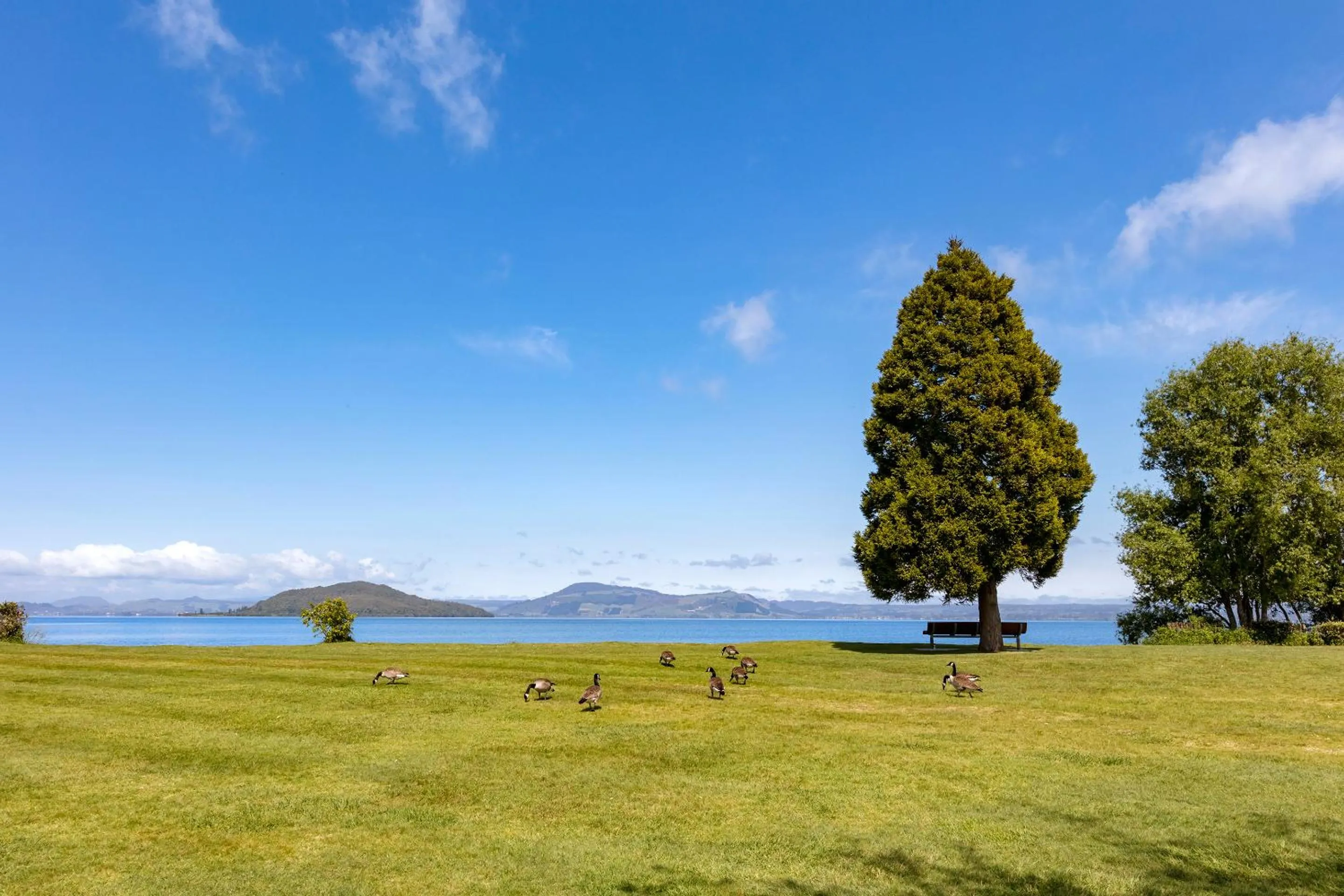 Natural landscape in Ramada Resort By Wyndham Rotorua Marama