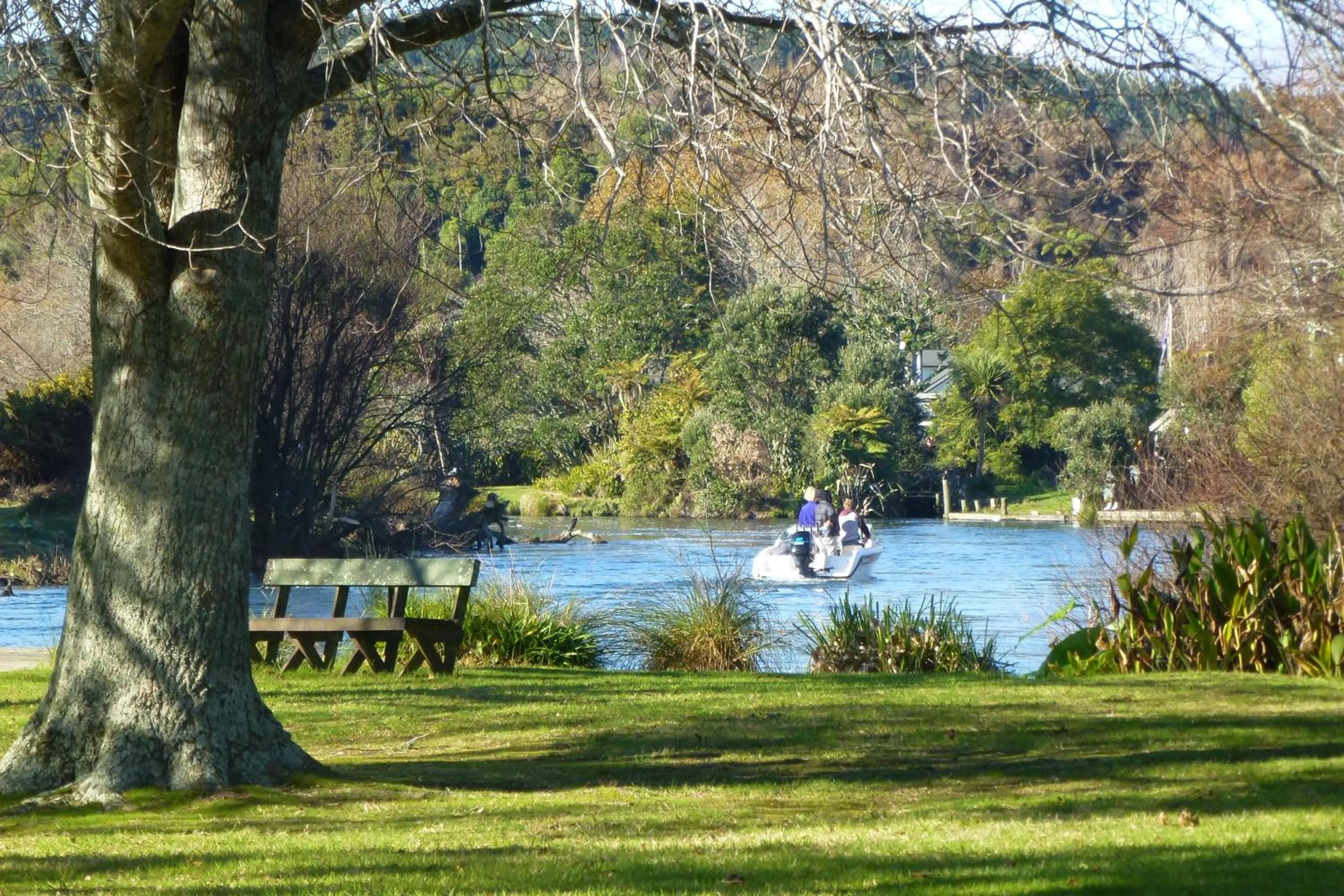 Natural landscape in Ramada Resort By Wyndham Rotorua Marama