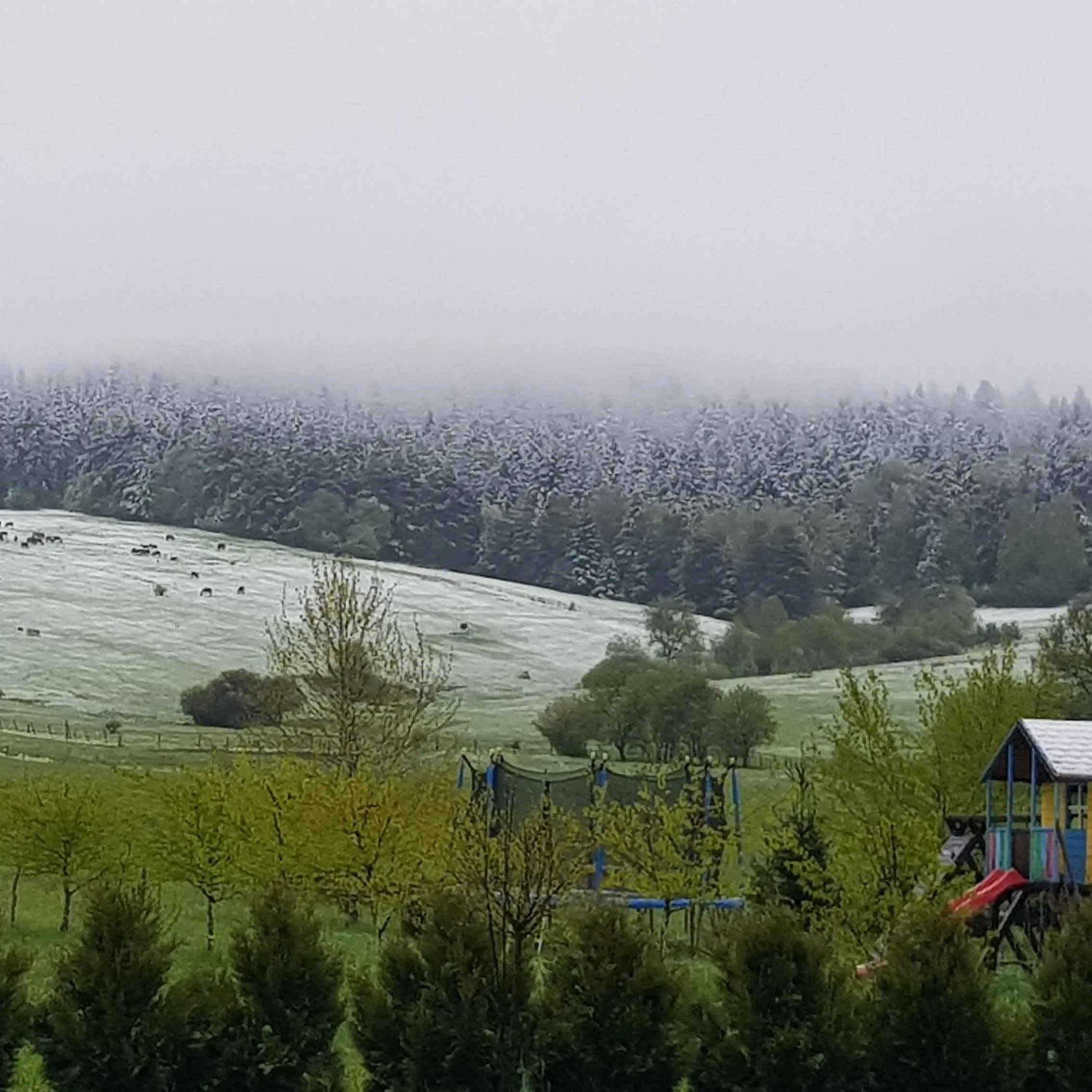 Natural landscape in Malowane Wierchy