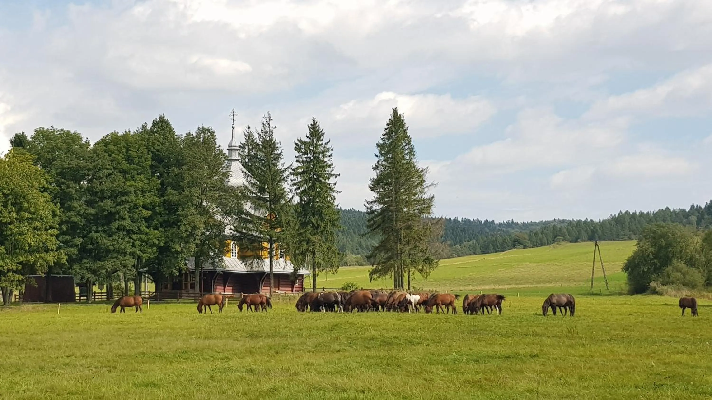 Natural landscape in Malowane Wierchy