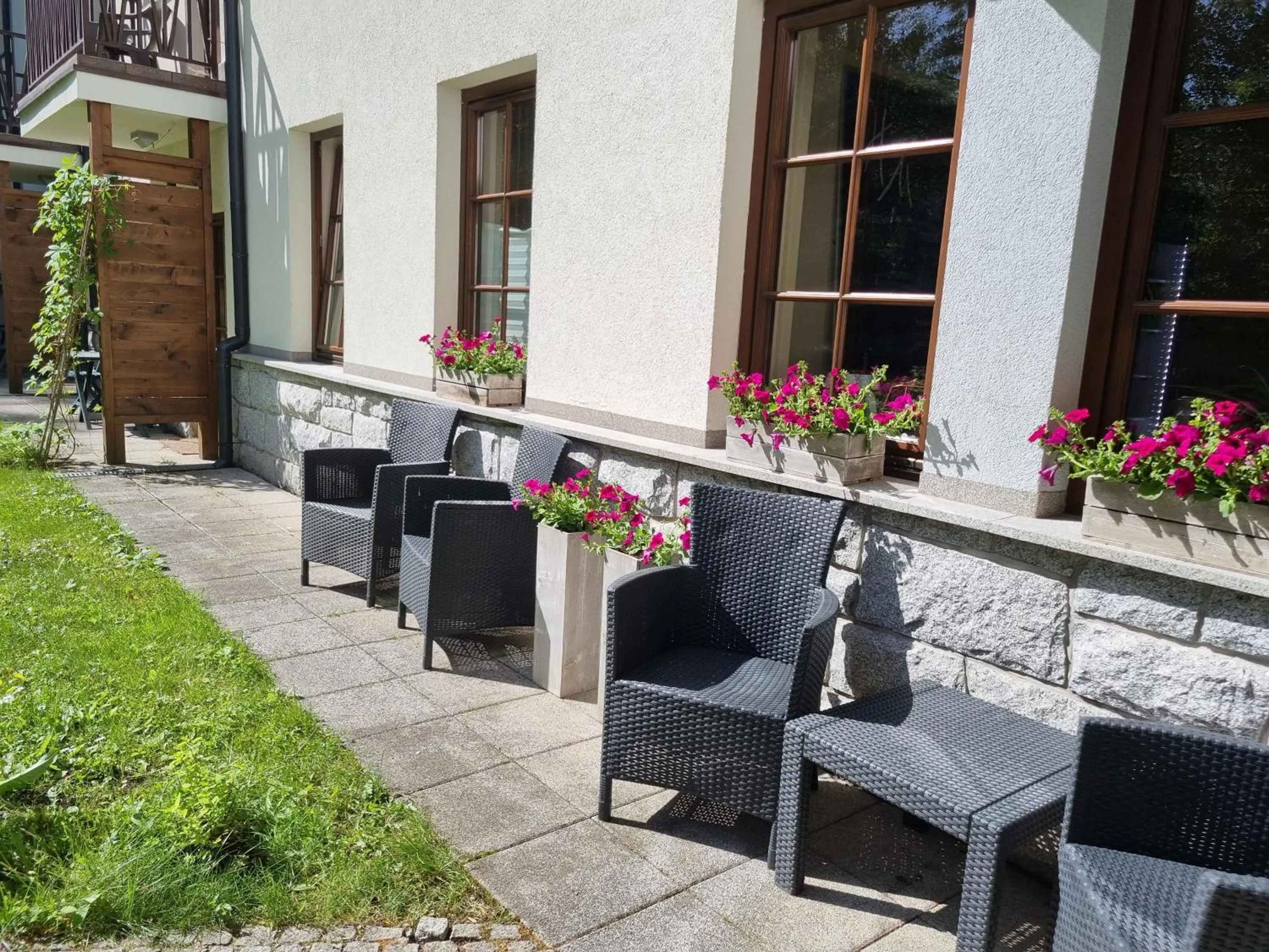 Garden in Hotel Murowanica