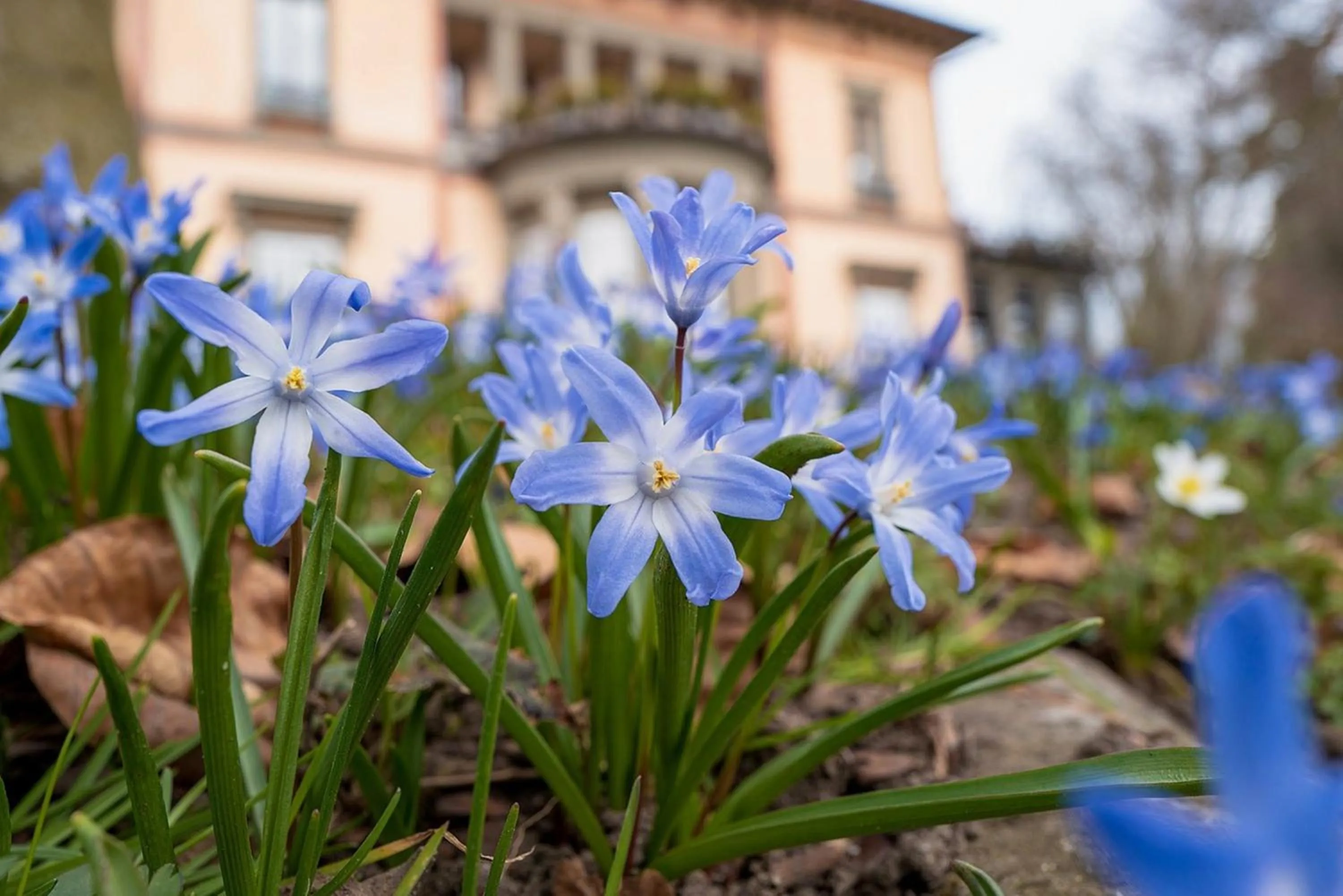 Garden in Schloss Hotel Wasserburg