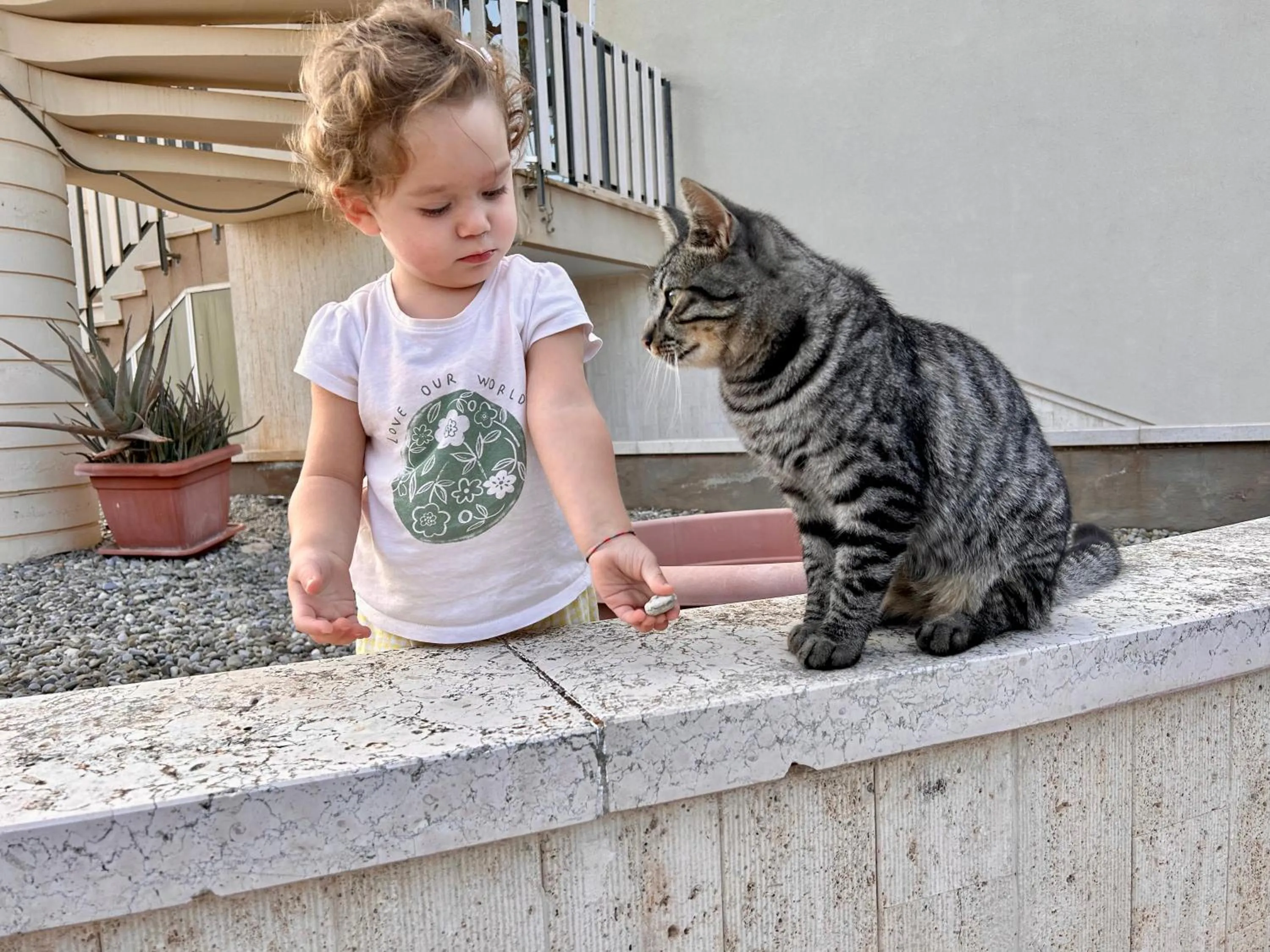 Property building in Hotel La Vetta Europa