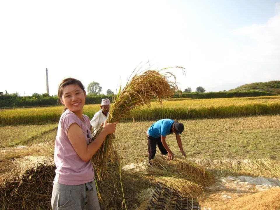 Natural landscape in Sanu House