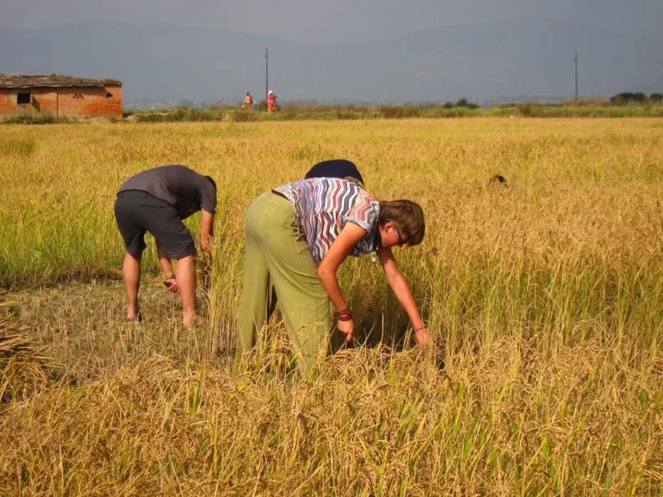 Natural landscape in Sanu House