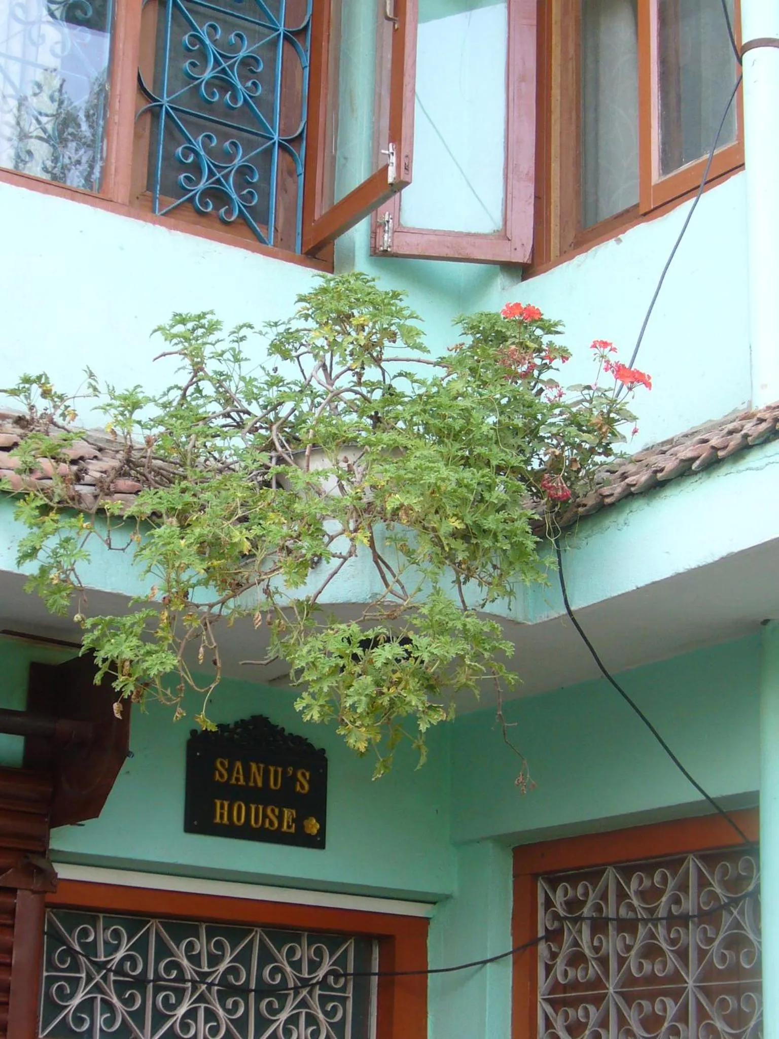 Property building in Sanu House