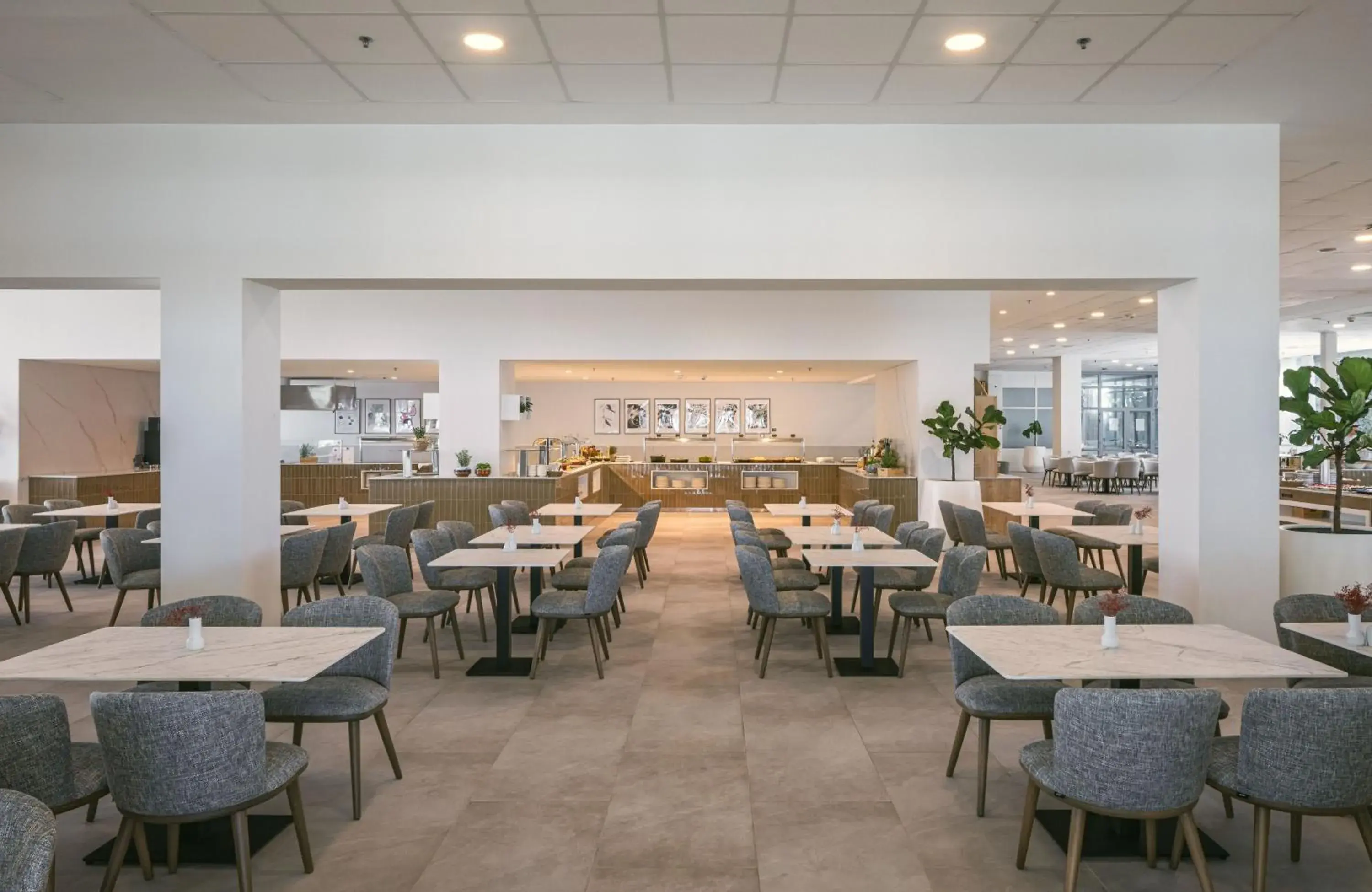 Restaurant/places to eat in Bluesun Hotel Alga Restaurant/places to eat in Bluesun Hotel Alga